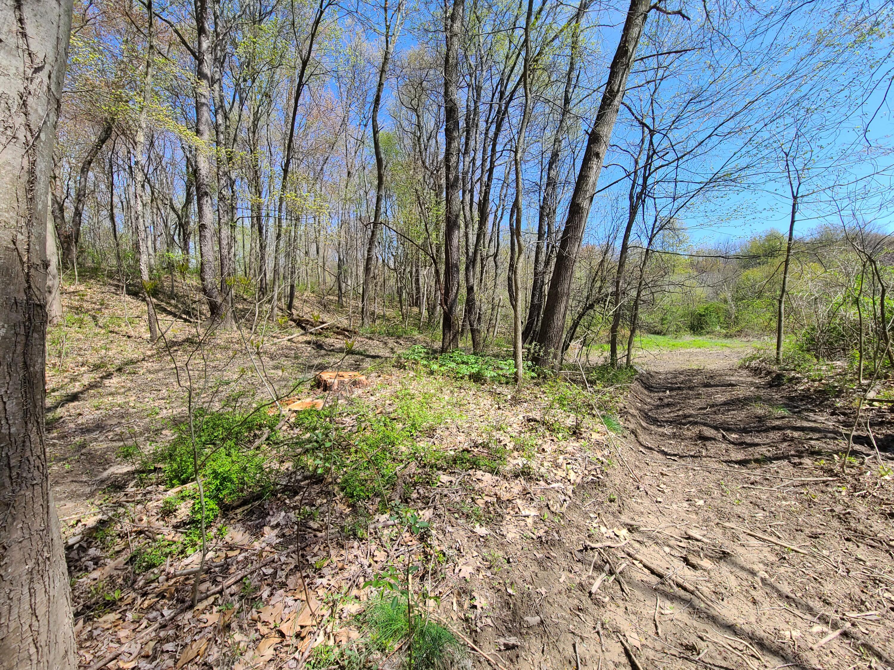 6800 McKibben Road Delton, MI 49046 - Photo 29 of 53 20230504_121529