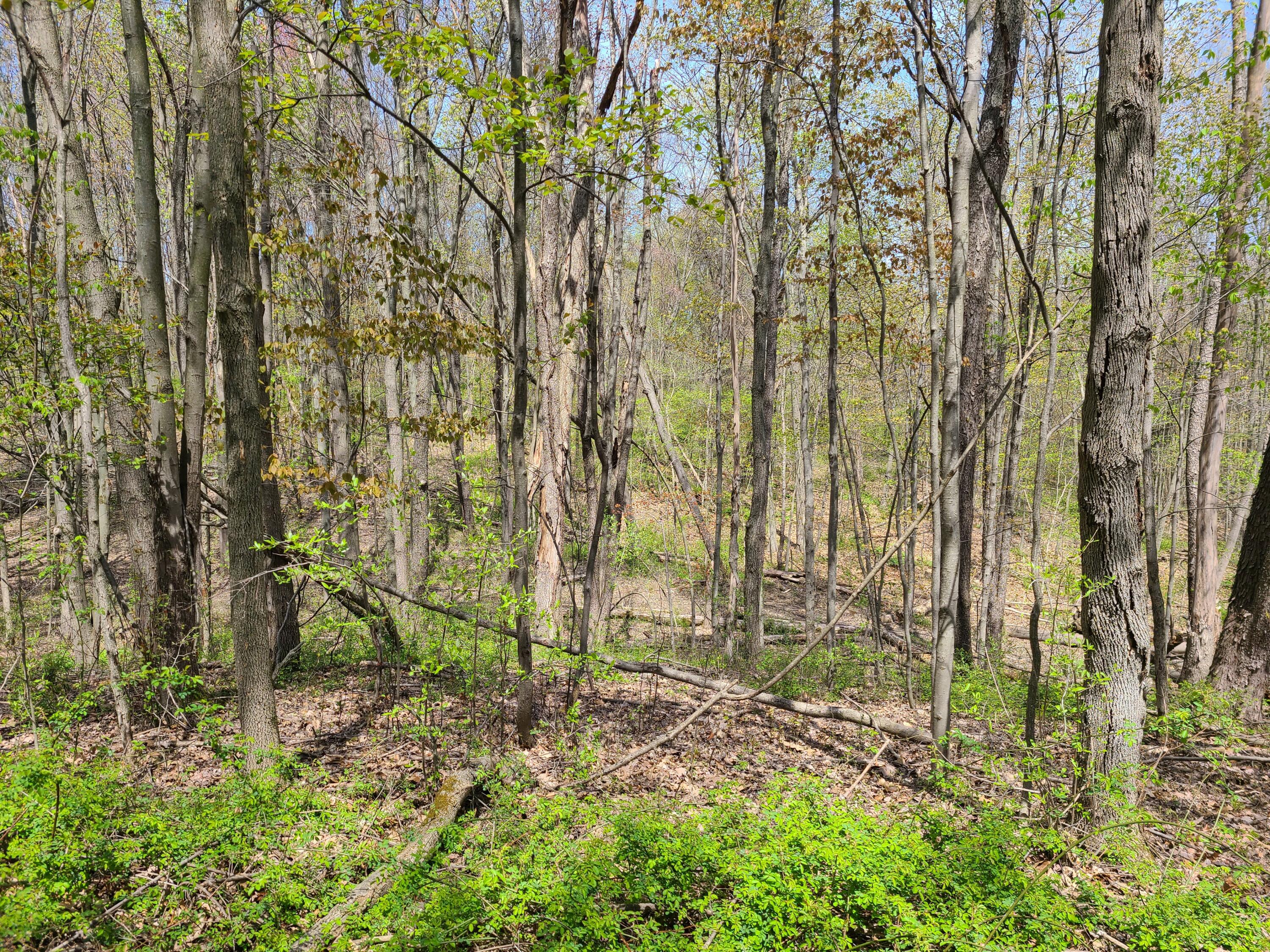 6800 McKibben Road Delton, MI 49046 - Photo 31 of 53 20230504_123705