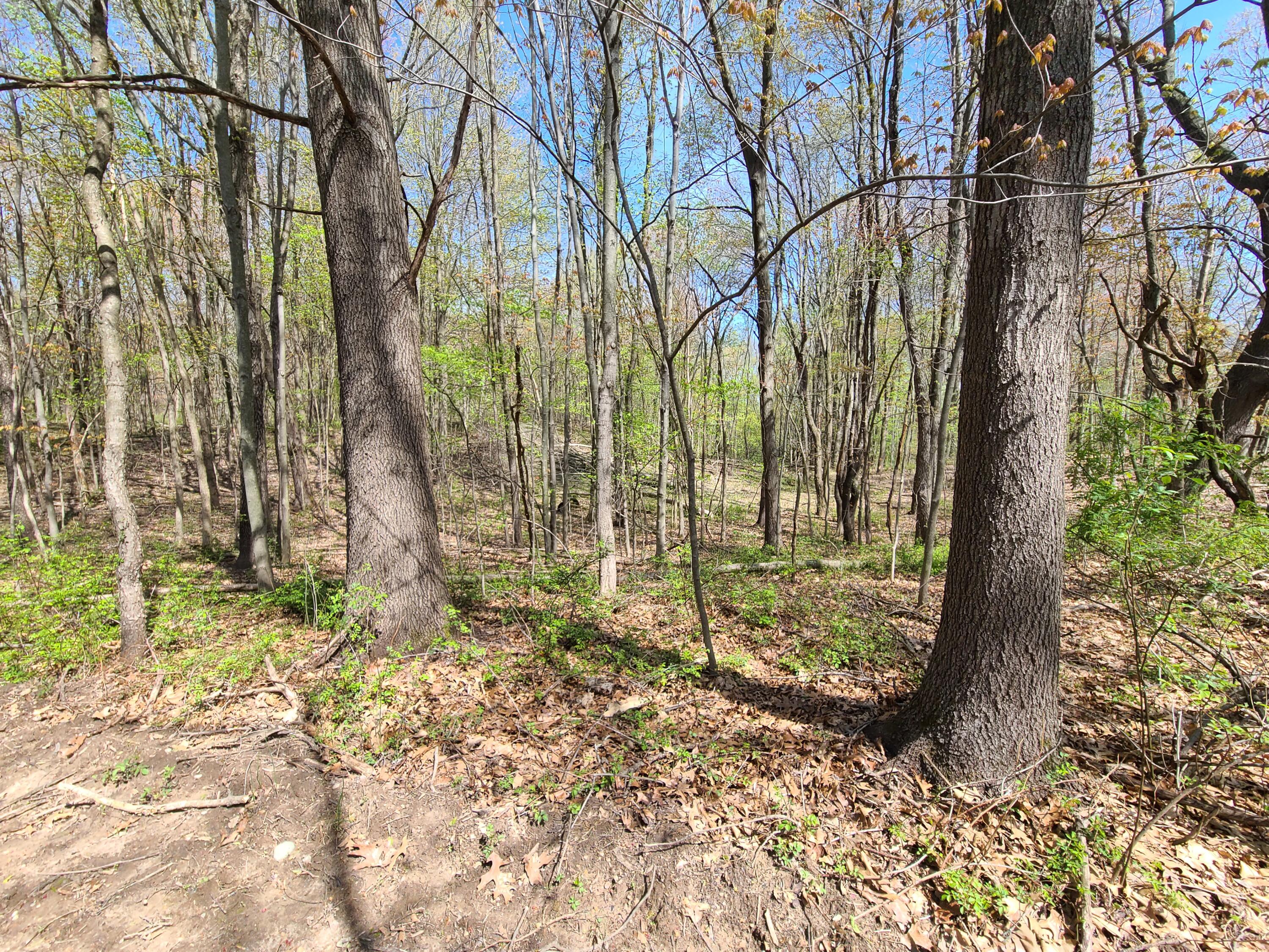 6800 McKibben Road Delton, MI 49046 - Photo 39 of 53 20230504_120444