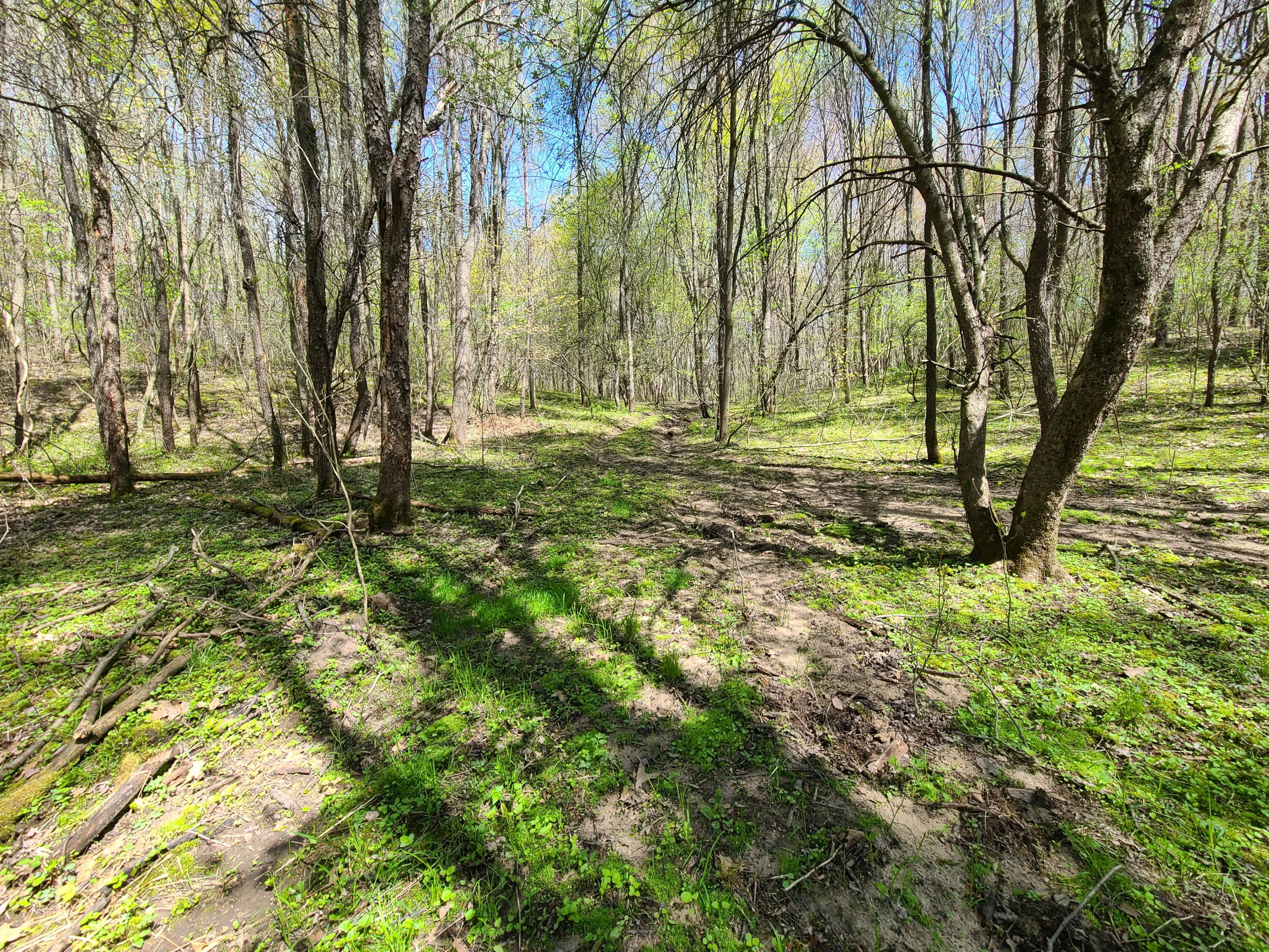 6800 McKibben Road Delton, MI 49046 - Photo 41 of 53 20230504_121751