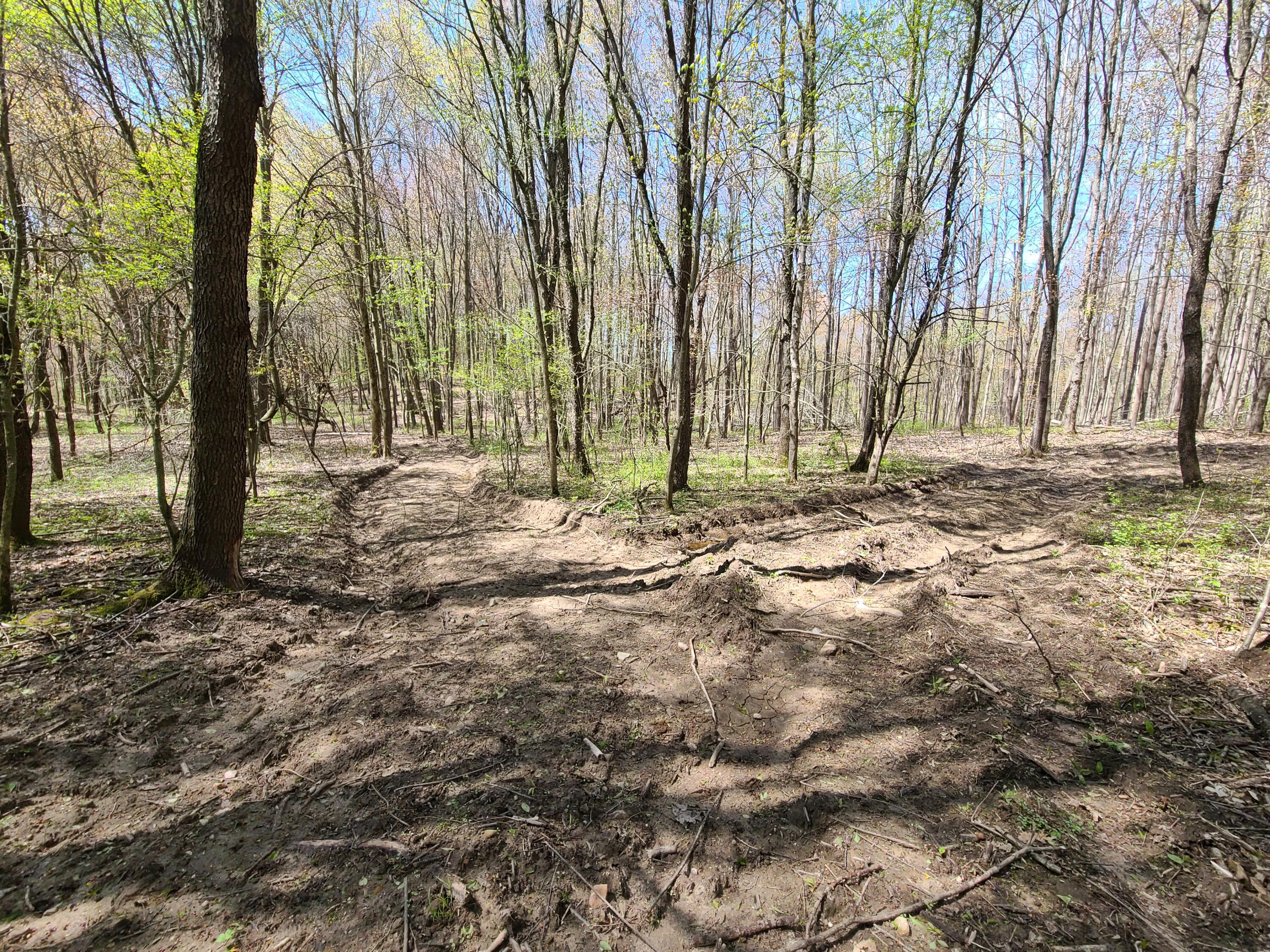 6800 McKibben Road Delton, MI 49046 - Photo 42 of 53 20230504_122022