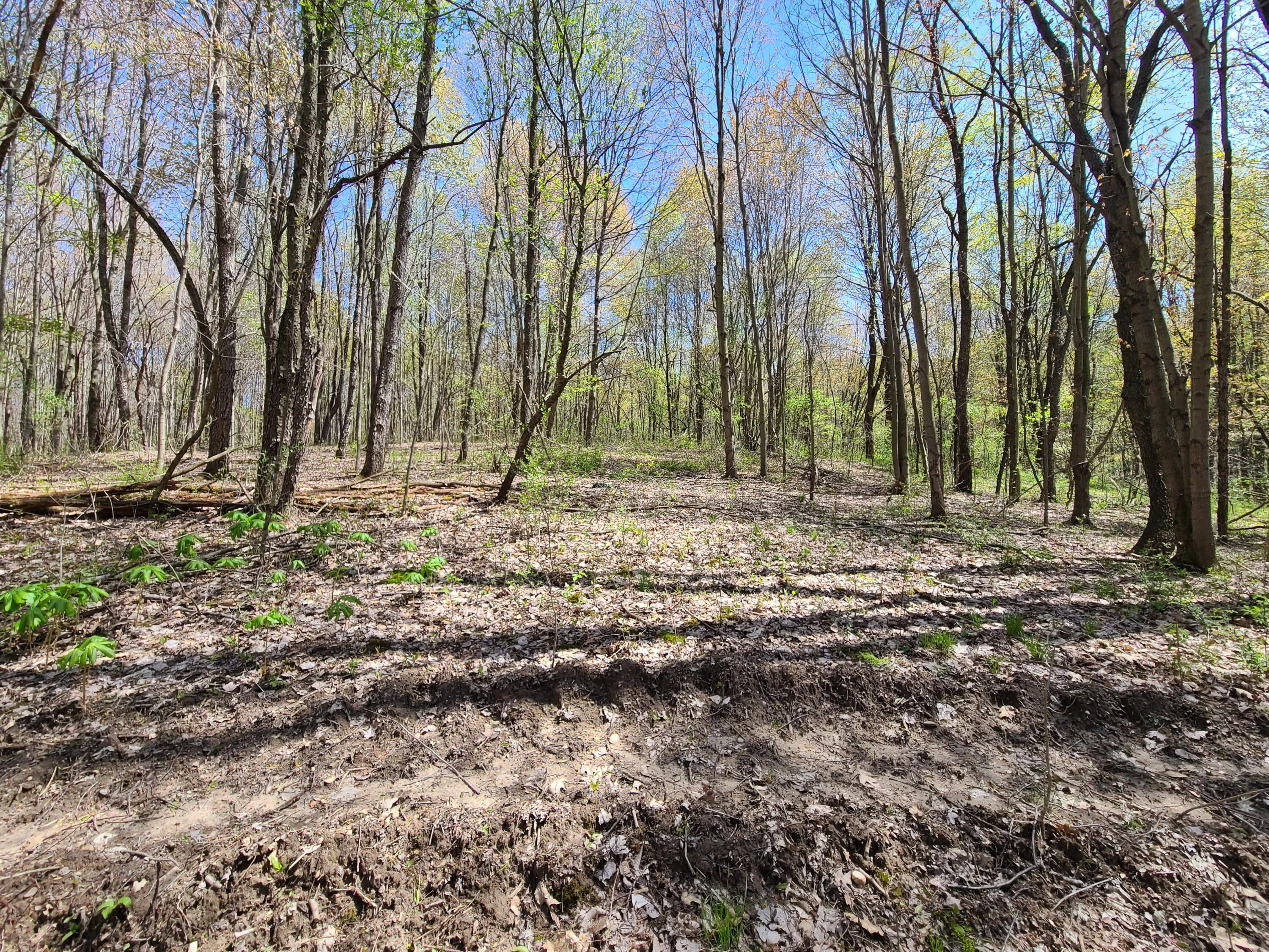 6800 McKibben Road Delton, MI 49046 - Photo 45 of 53 20230504_122902