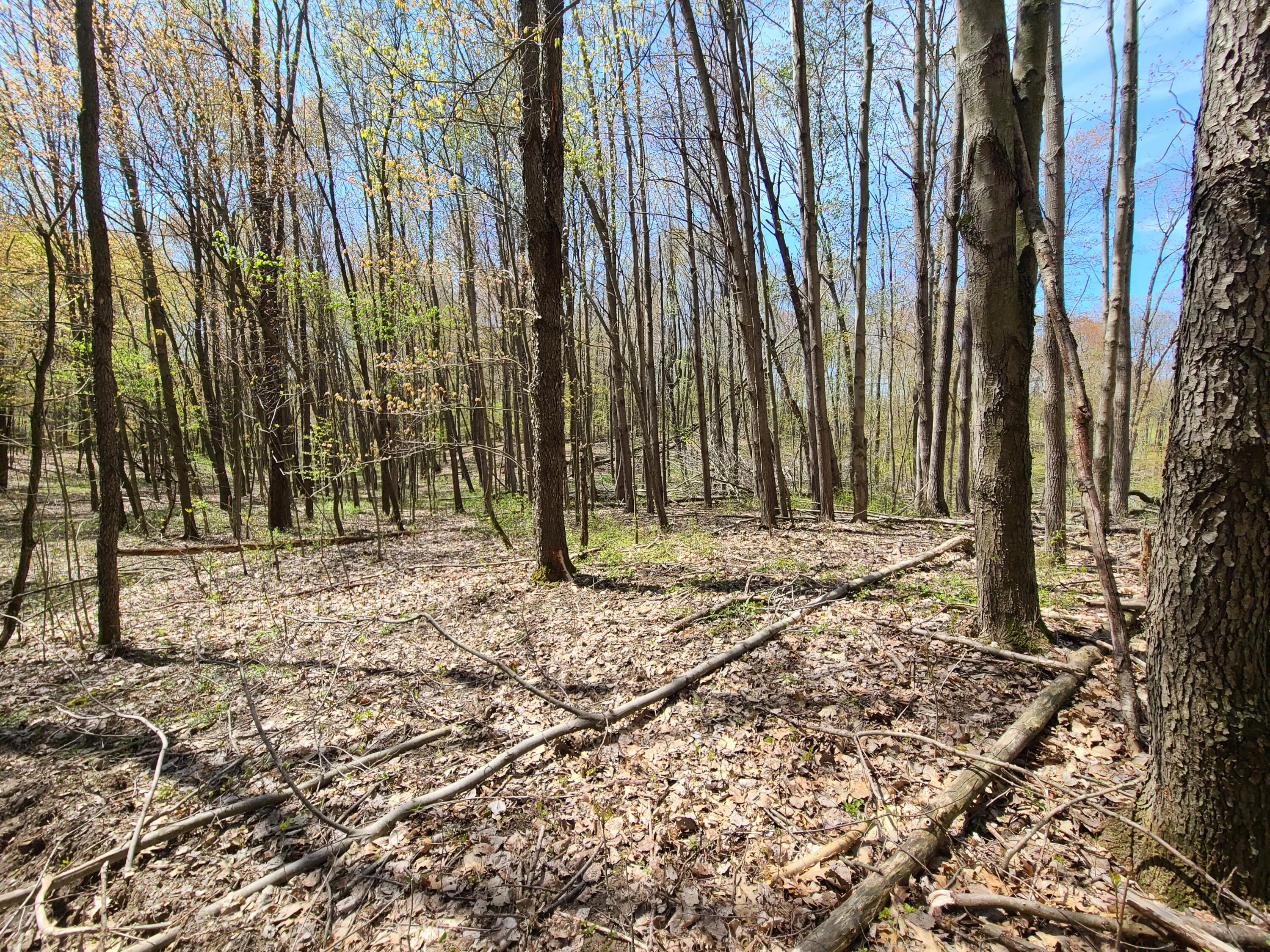 6800 McKibben Road Delton, MI 49046 - Photo 46 of 53 20230504_123006