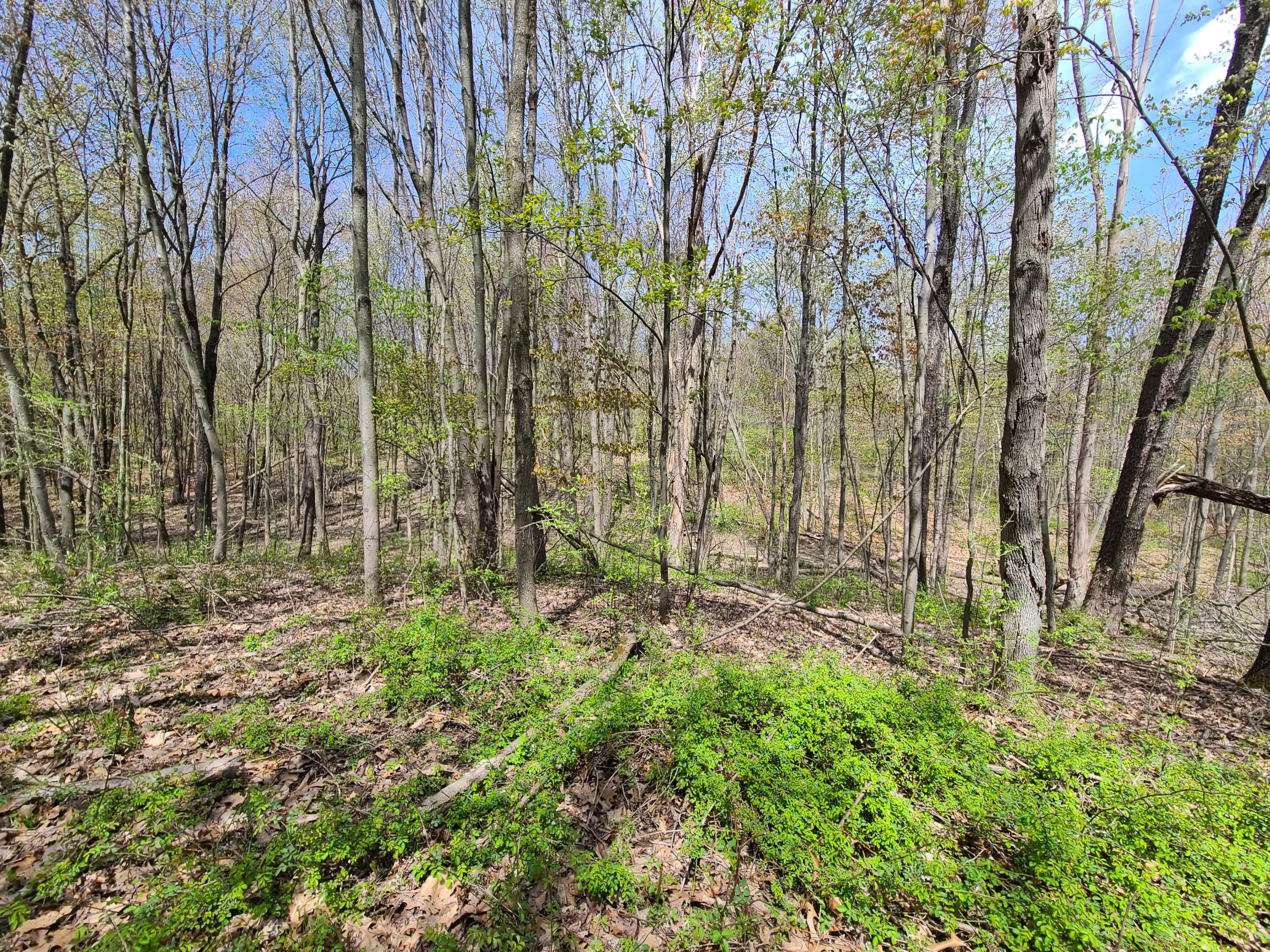 6800 McKibben Road Delton, MI 49046 - Photo 47 of 53 20230504_123702