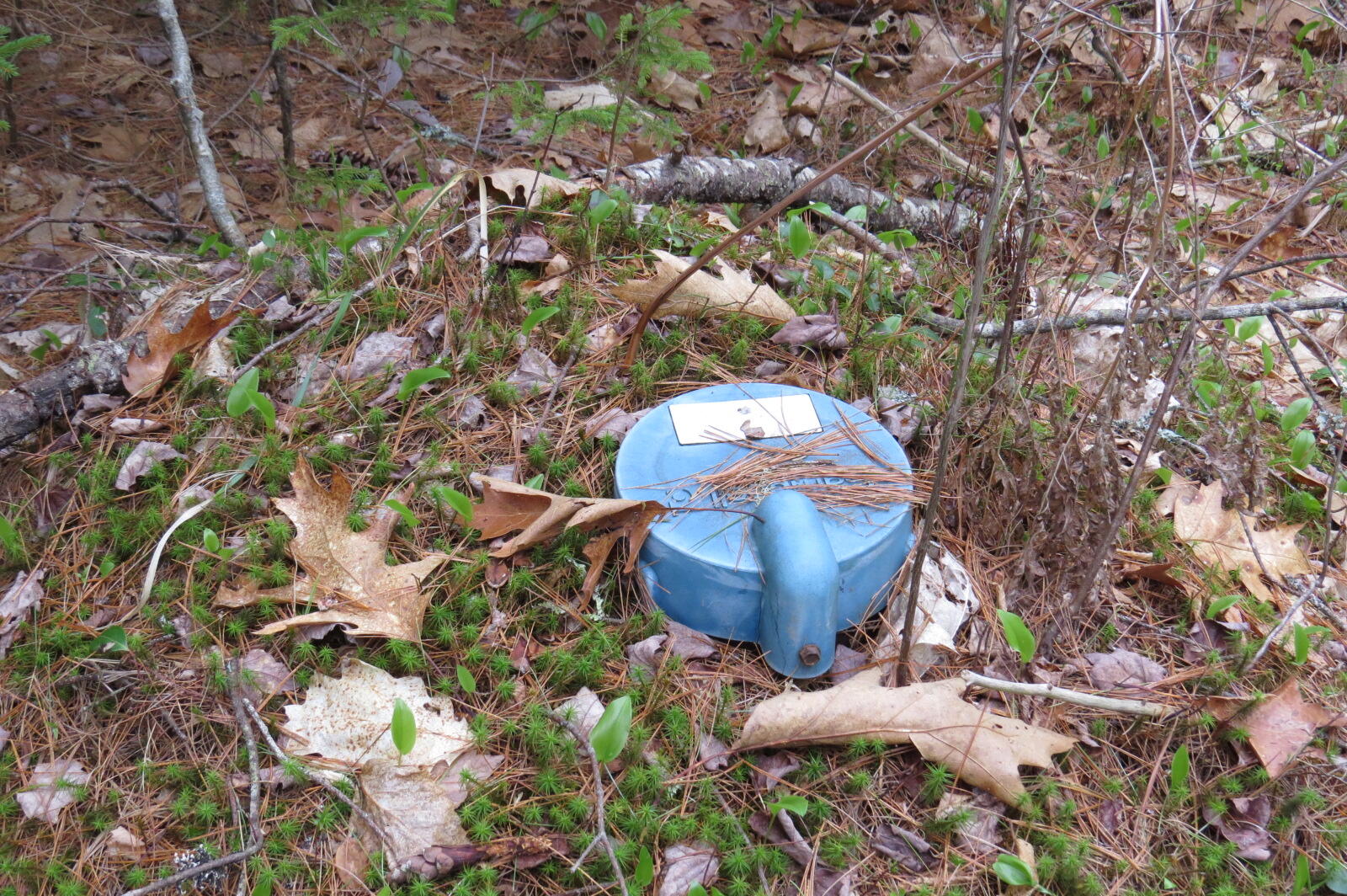 23 Porcupine Road Sullivan, ME 04664 - Photo 12 of 27 IMG_0195