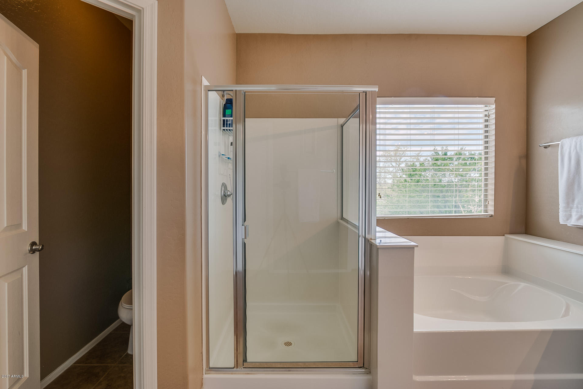 9699 Barley Road Florence, AZ 85132 - Photo 44 of 59 Master Bathroom