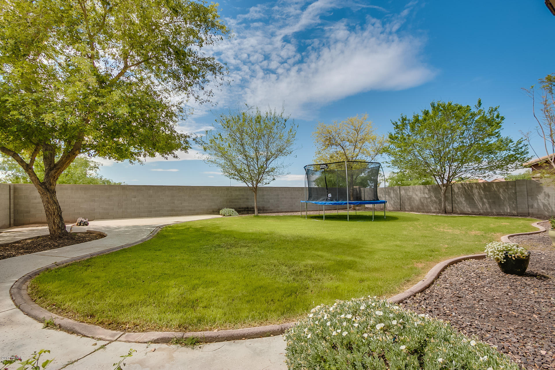 9699 Barley Road Florence, AZ 85132 - Photo 58 of 59 Backyard