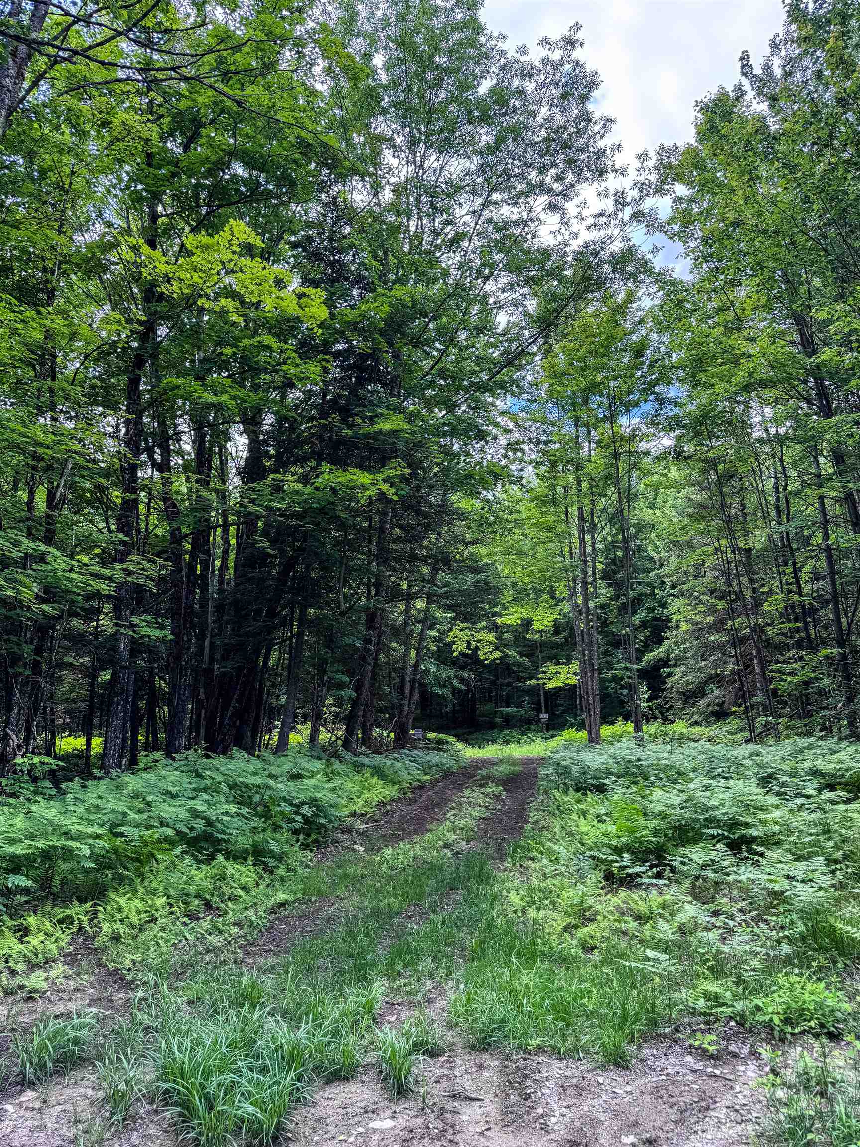 273 Guyette Road Lowell, VT 05847 - Photo 4 of 9