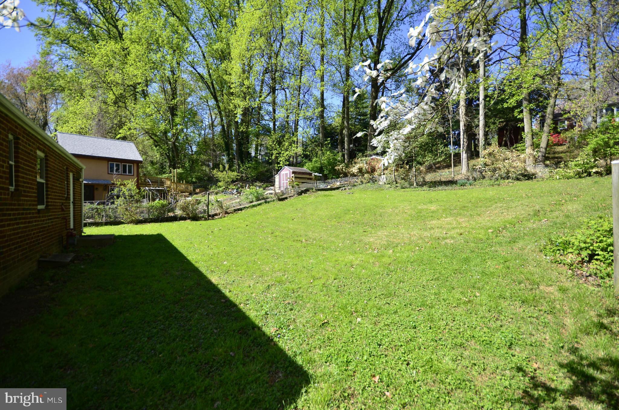 11620 Gail Street Silver Spring, MD 20902 - Photo 19 of 21 a view of a backyard with large trees