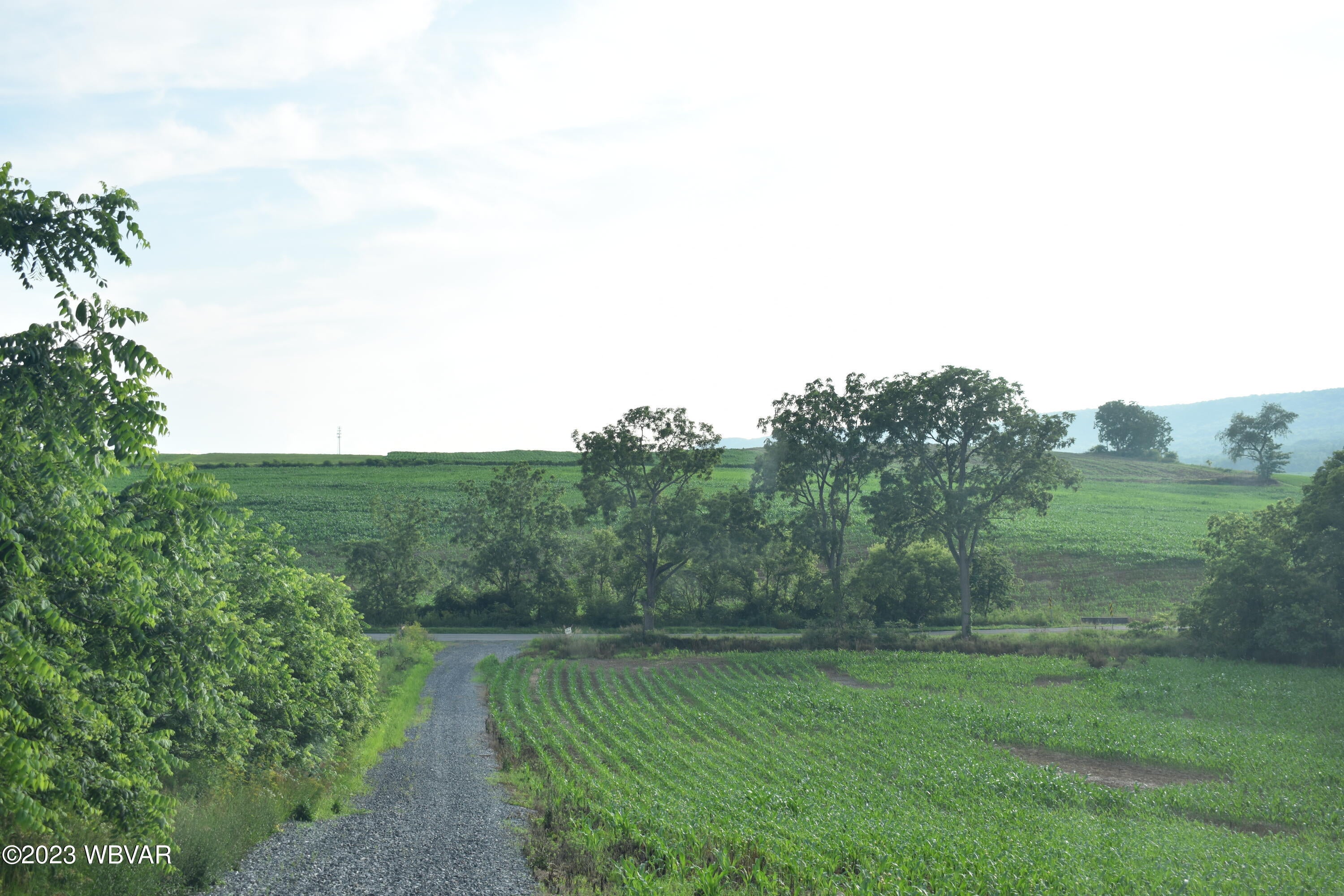 0 Fox Hollow Road Mill Hall, PA 17751 - Photo 11 of 15 Gallery Image 11