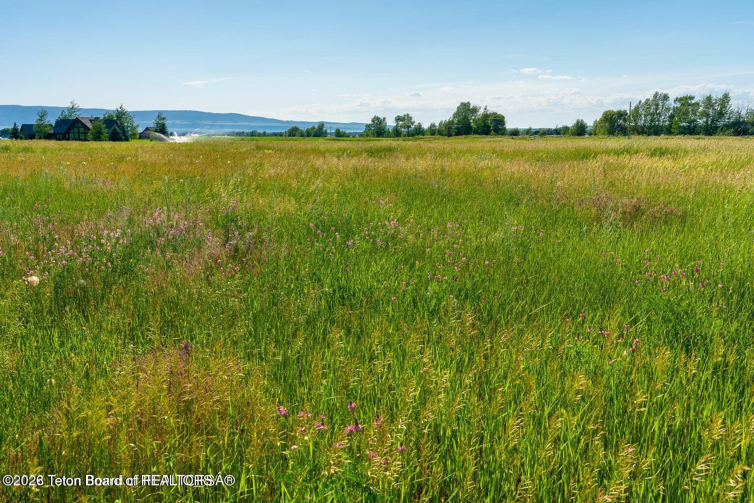 4486 Wydaho Ranch Trail Tetonia, ID 83452 - Photo 5 of 10 Wydaho Ranch summer
