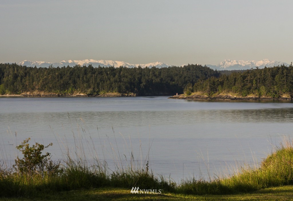 522 Whitecliff Farm Road Decatur Island, WA 98221 - Photo 5 of 21