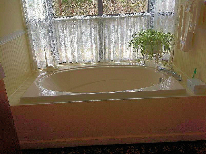 522 Cliffside Road Pikeville, TN 37367 - Photo 13 of 33 13 MASTER BATH TUB