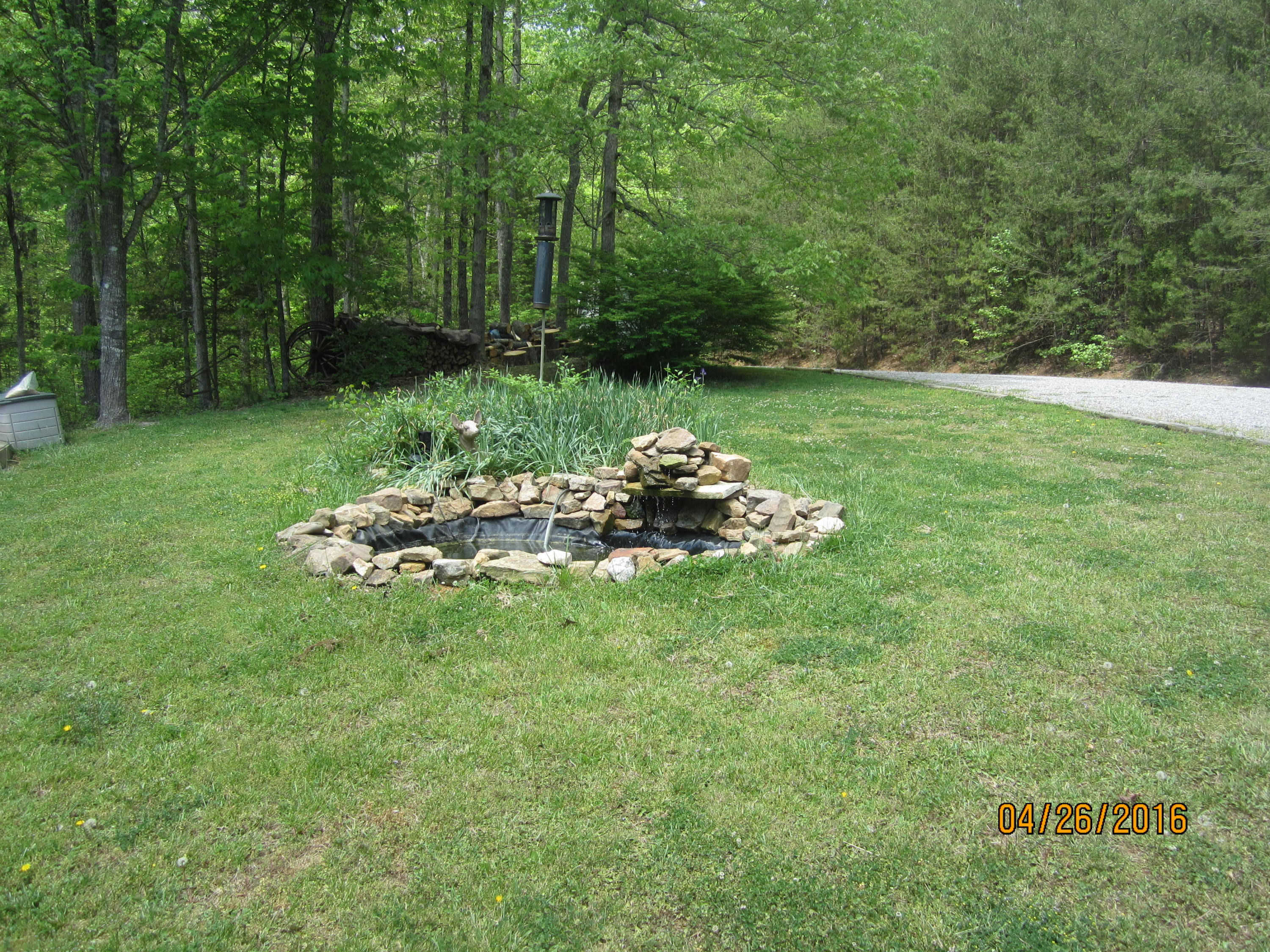 522 Cliffside Road Pikeville, TN 37367 - Photo 3 of 33 3 FISH POND