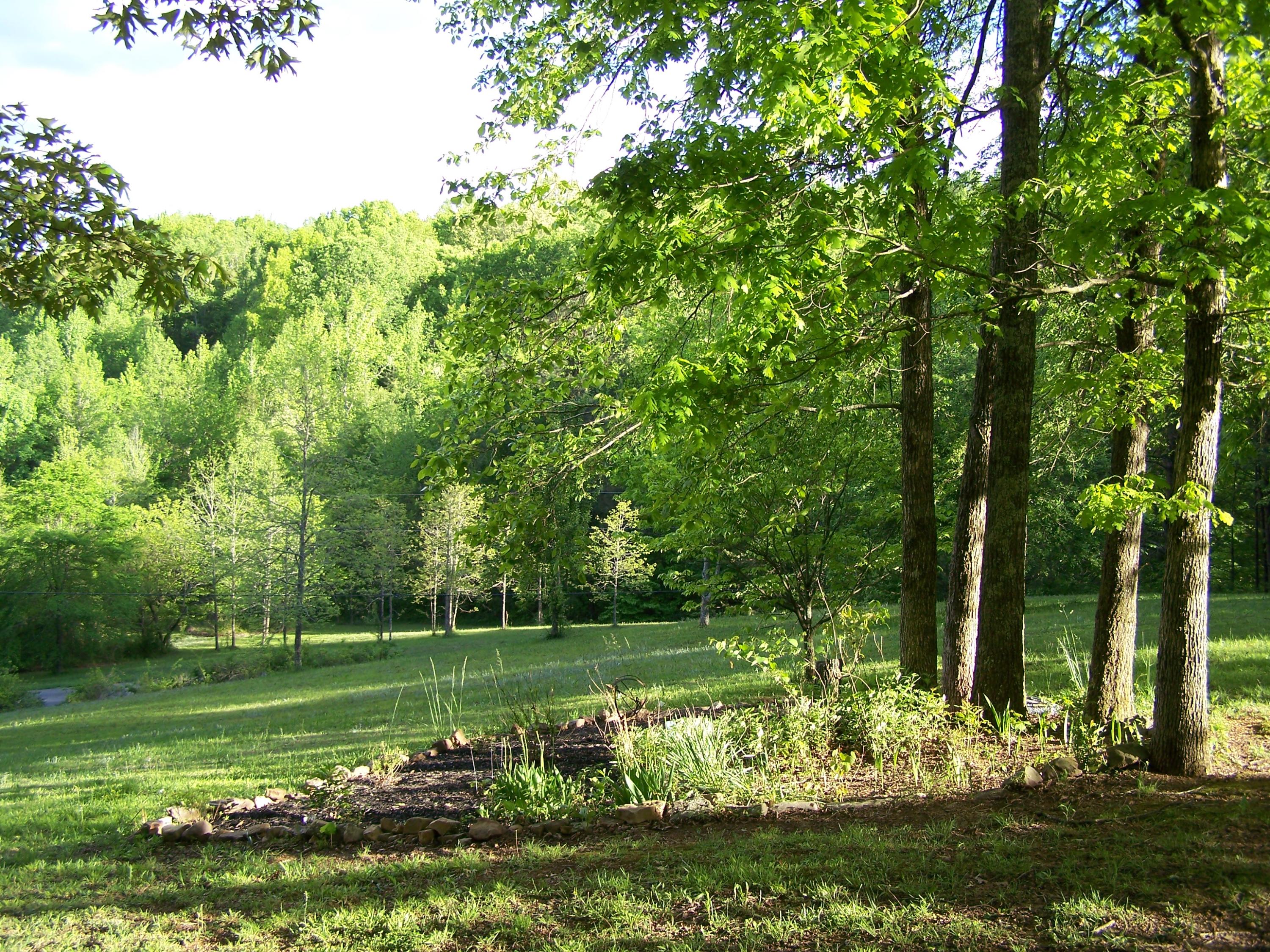 522 Cliffside Road Pikeville, TN 37367 - Photo 29 of 33 29 FRONT YARD