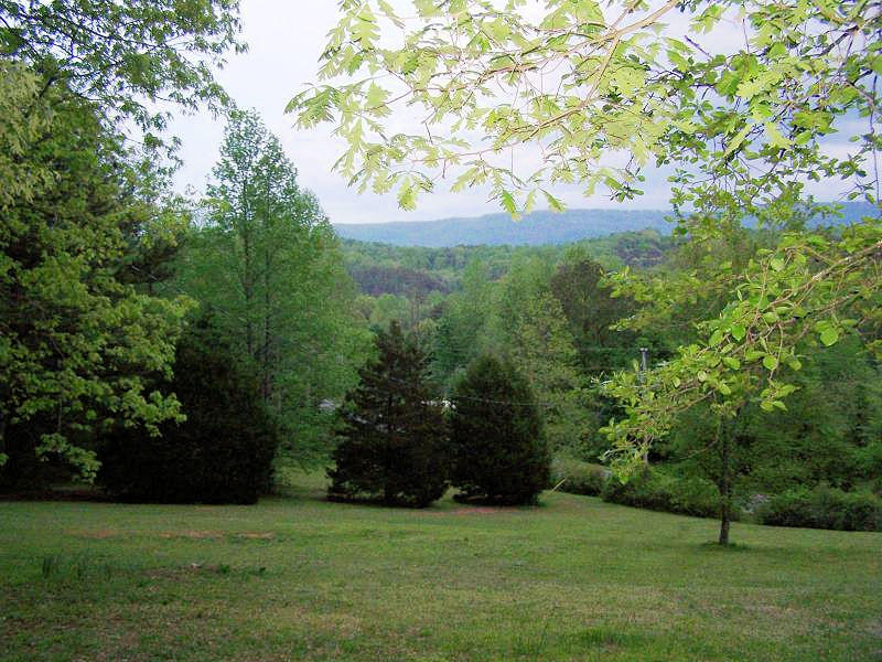 522 Cliffside Road Pikeville, TN 37367 - Photo 30 of 33 30 MOUNTAIN -YARD VIEW