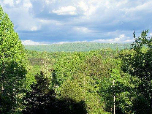 522 Cliffside Road Pikeville, TN 37367 - Photo 31 of 33 31 MOUNTAIN VIEW 2