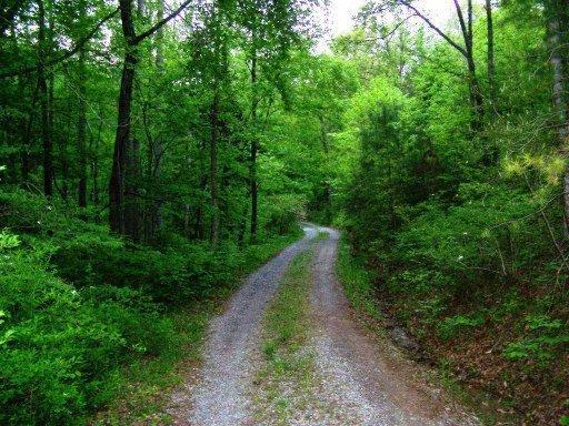 522 Cliffside Road Pikeville, TN 37367 - Photo 32 of 33 32 DRIVEWAY ENTRANCE