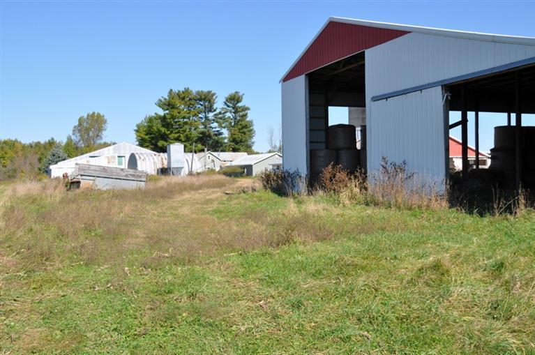 17701 Briggs Road Pierson, MI 49339 - Photo 11 of 15 Additional Photo