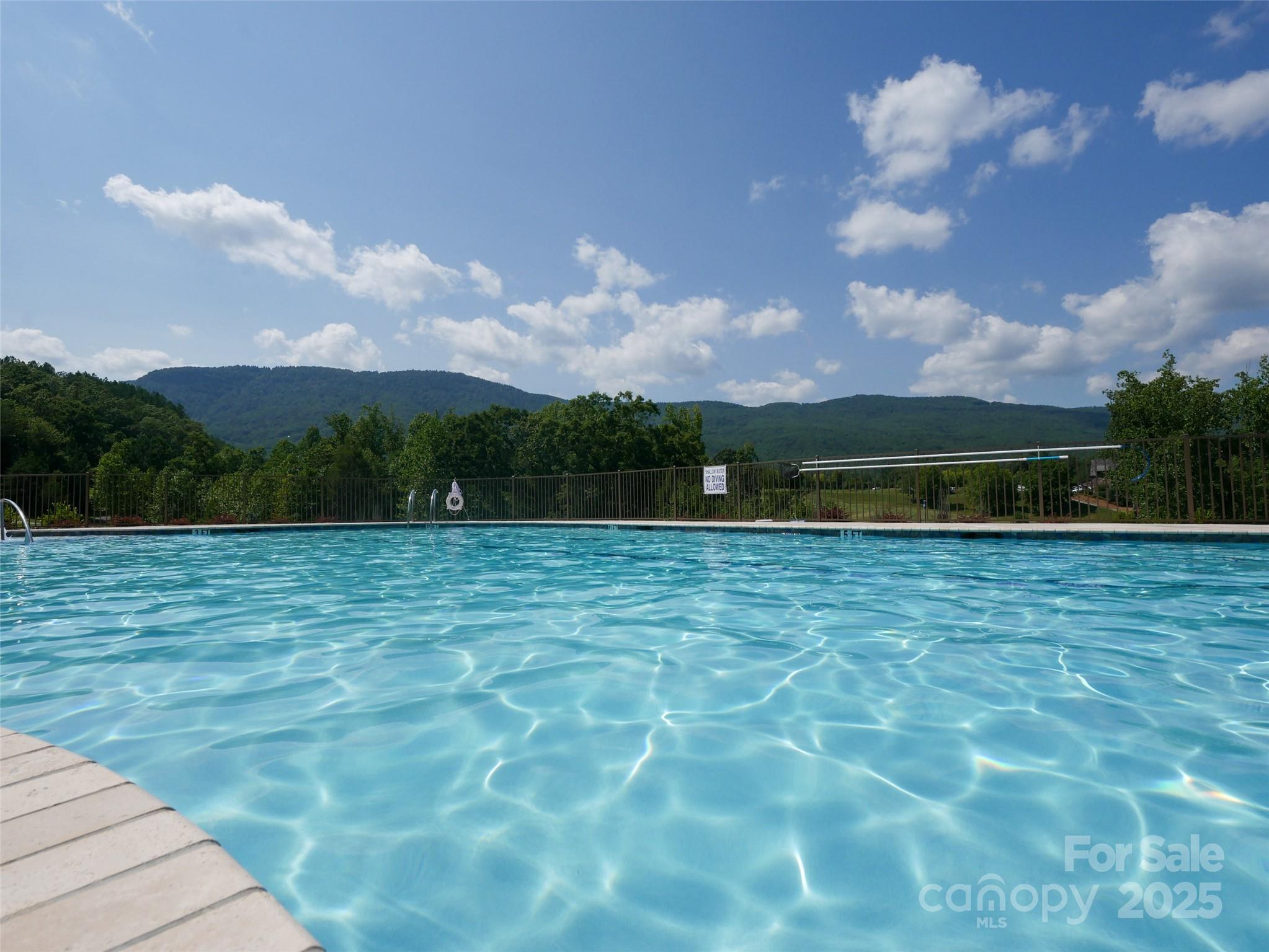 203 Cherry Hill Ln Mill Spring Mill Spring, NC 28756 - Photo 12 of 38