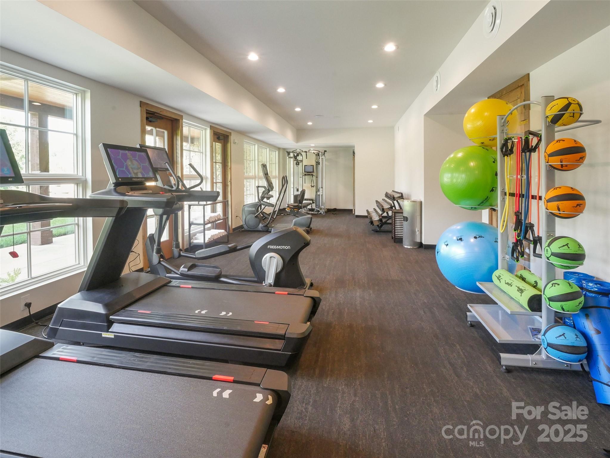 203 Cherry Hill Ln Mill Spring Mill Spring, NC 28756 - Photo 16 of 38