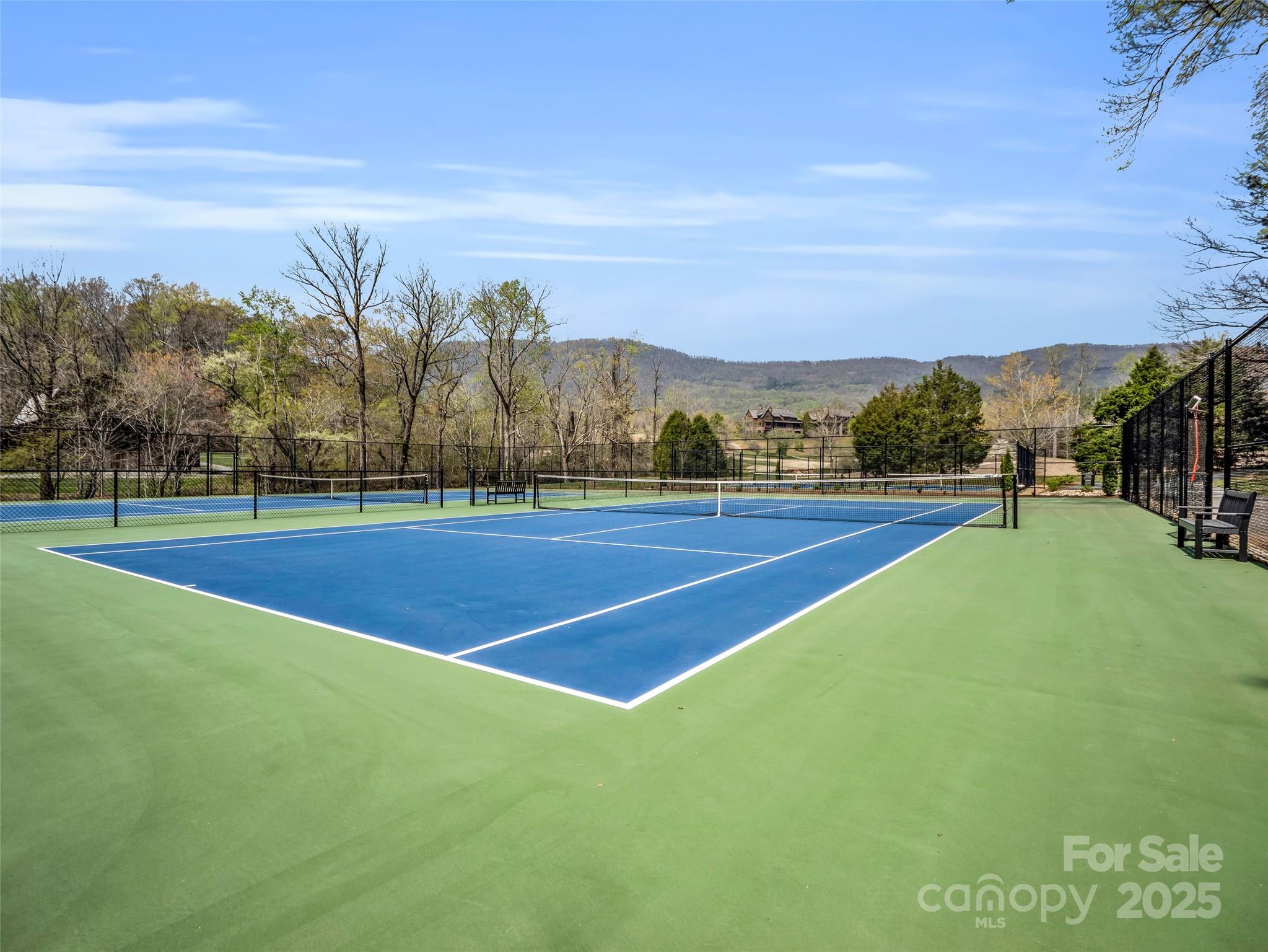 203 Cherry Hill Ln Mill Spring Mill Spring, NC 28756 - Photo 22 of 38