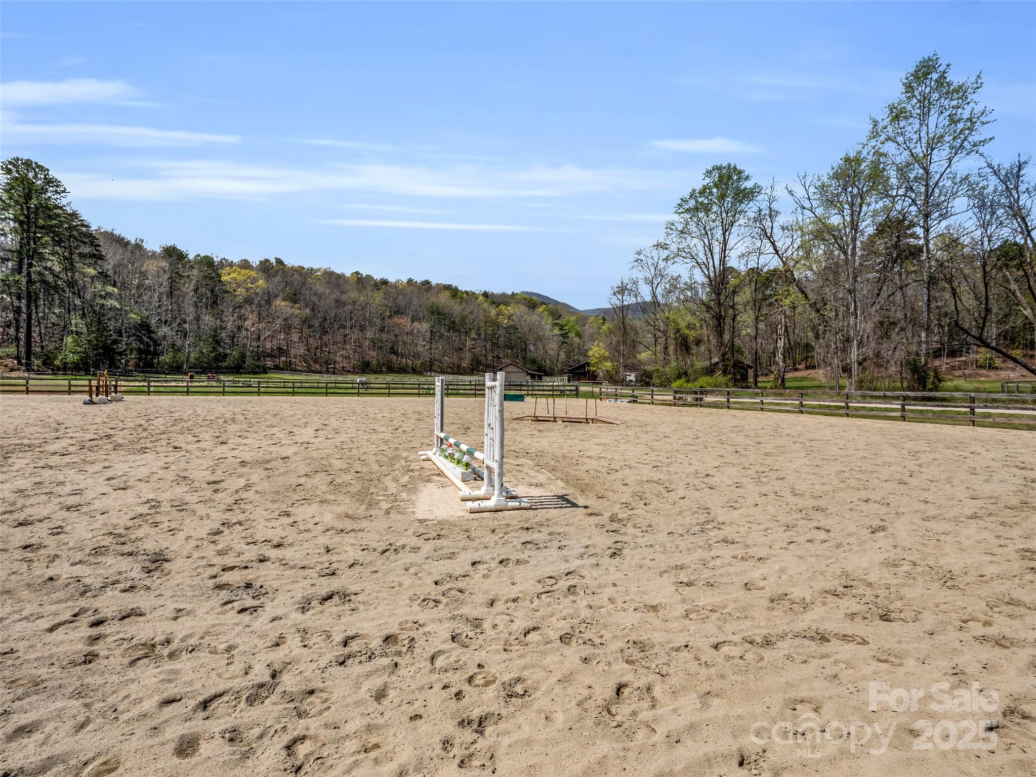 203 Cherry Hill Ln Mill Spring Mill Spring, NC 28756 - Photo 29 of 38
