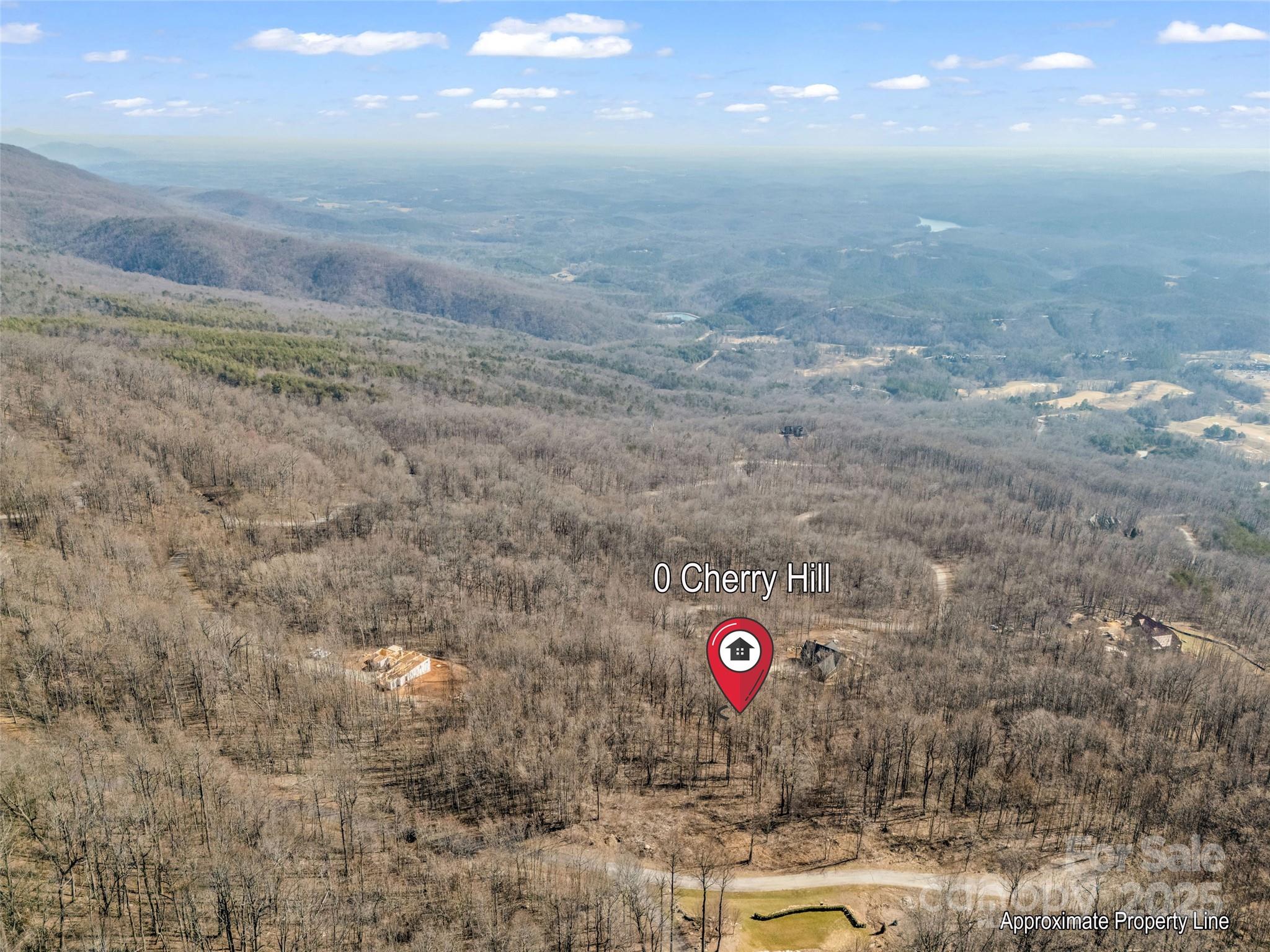 203 Cherry Hill Ln Mill Spring Mill Spring, NC 28756 - Photo 3 of 38