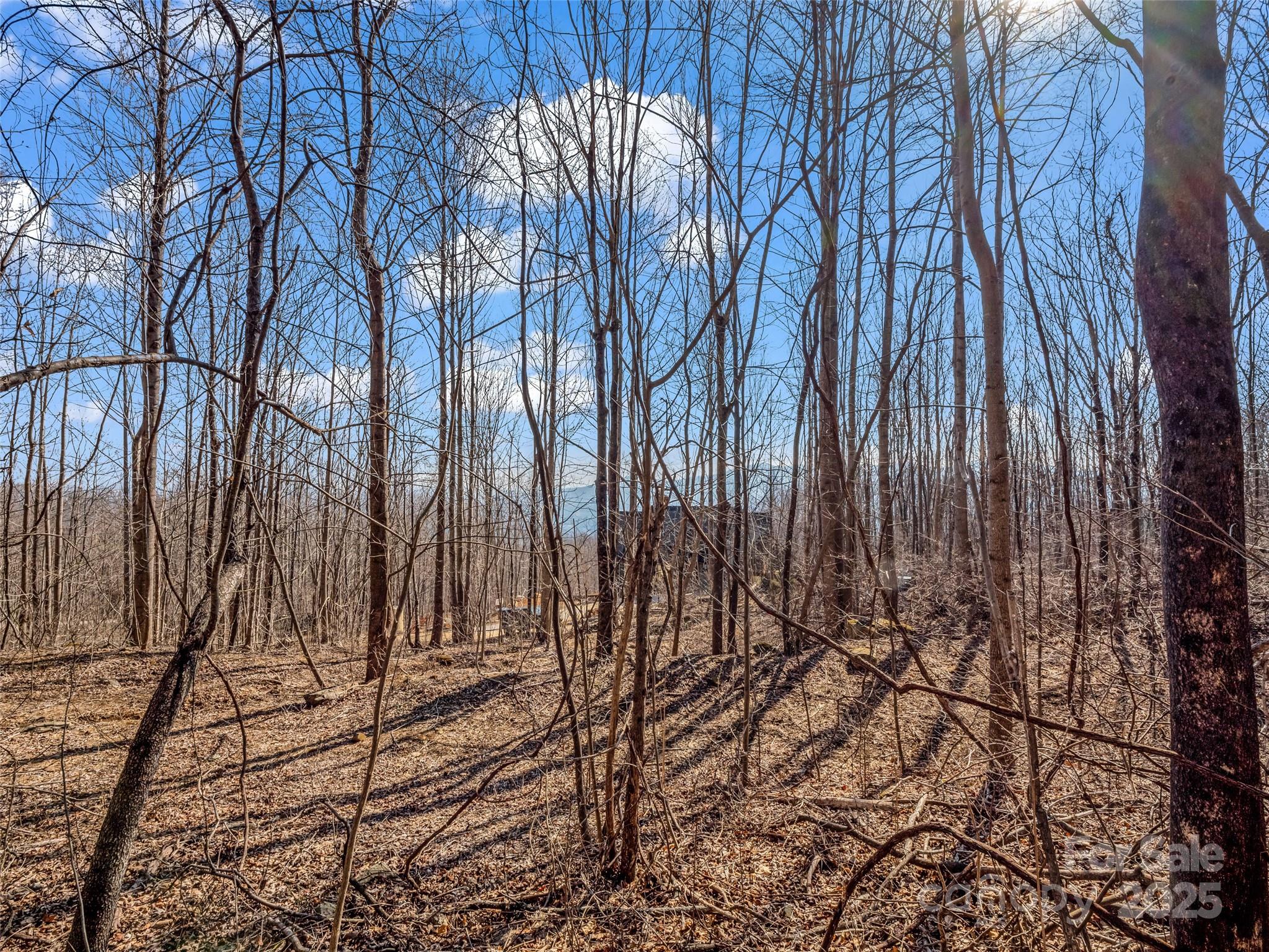 203 Cherry Hill Ln Mill Spring Mill Spring, NC 28756 - Photo 4 of 38