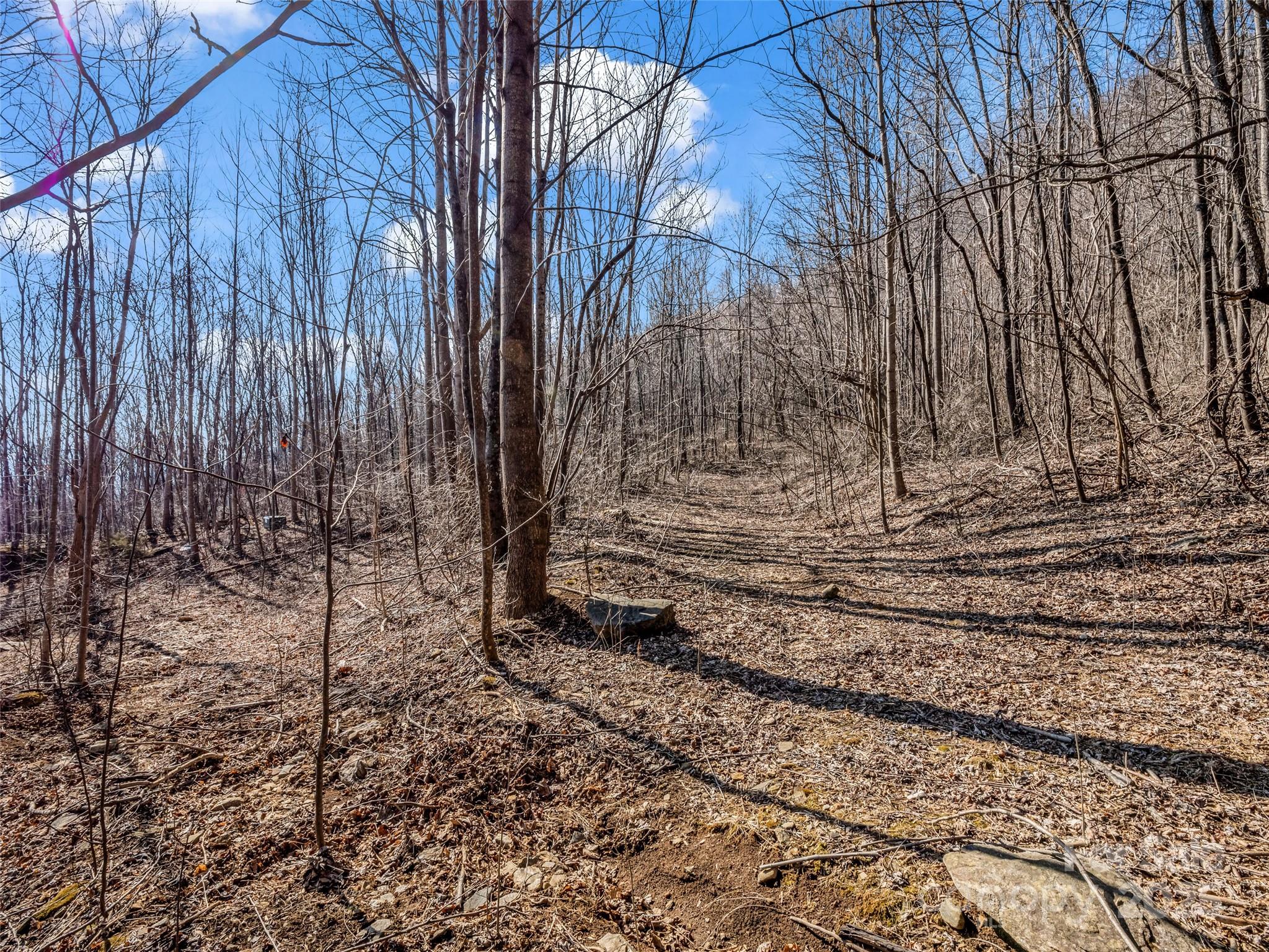 203 Cherry Hill Ln Mill Spring Mill Spring, NC 28756 - Photo 5 of 38