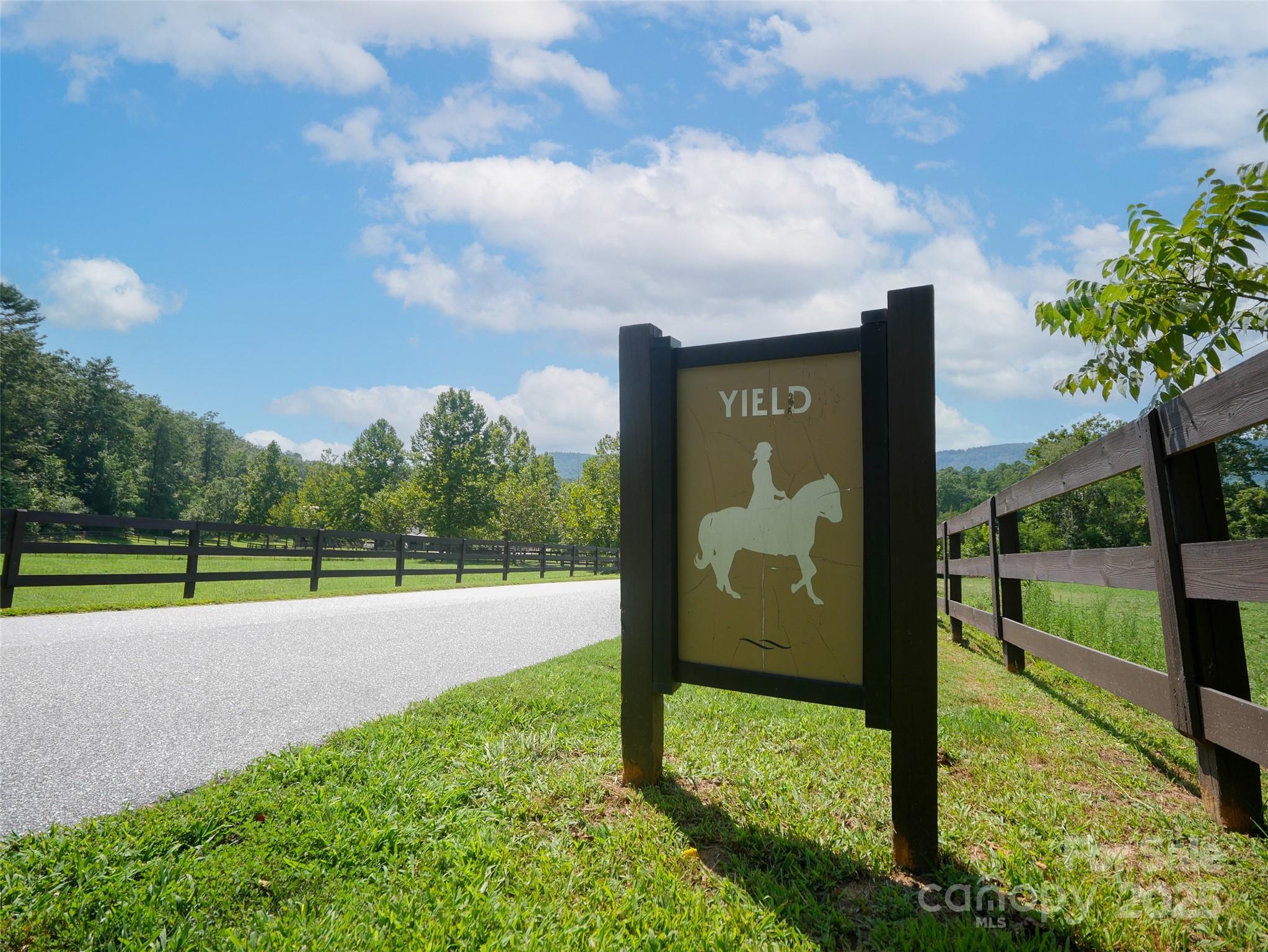 203 Cherry Hill Ln Mill Spring Mill Spring, NC 28756 - Photo 6 of 38