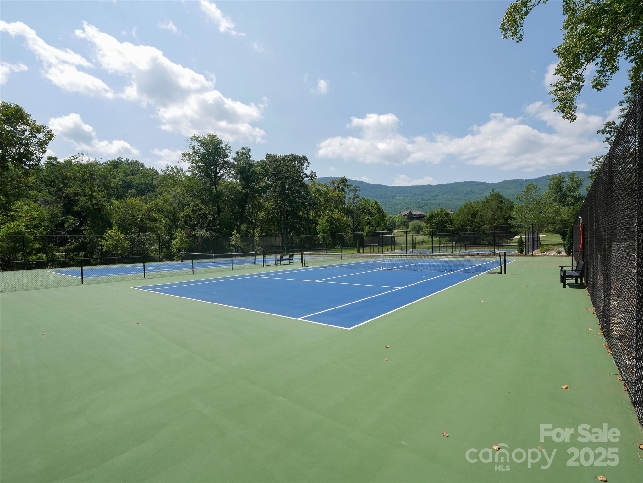 203 Cherry Hill Ln Mill Spring Mill Spring, NC 28756 - Photo 10 of 38
