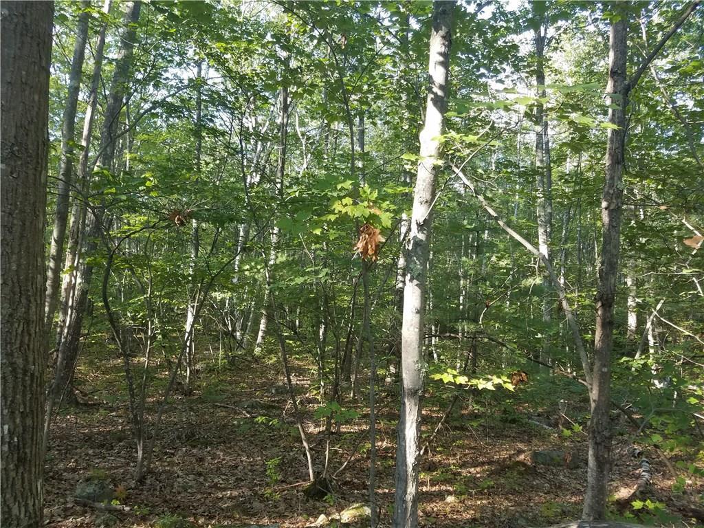 Lot 2 Old Ben Davis Road Lyman, ME 04002 - Photo 8 of 10 Photo
