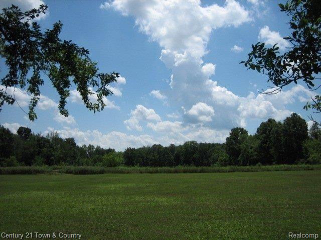 7550 Allen Road Fenton, MI 48430 - Photo 20 of 21 Back yard 2