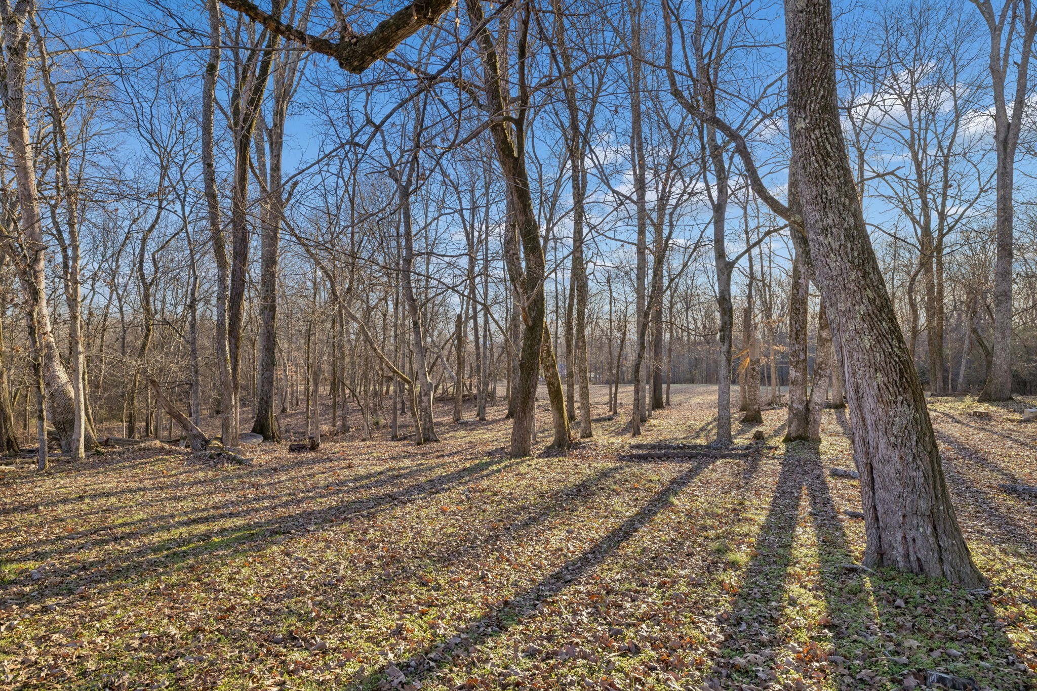 1366 Iron Bridge Road Columbia, TN 38401 - Photo 37 of 43