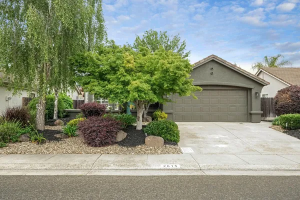 a backyard of a house with plants and trees