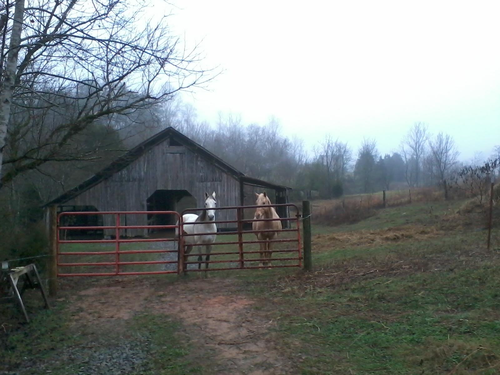 950 Mannis Road Madisonville, TN 37354 - Photo 36 of 38 Large Barn with sheds