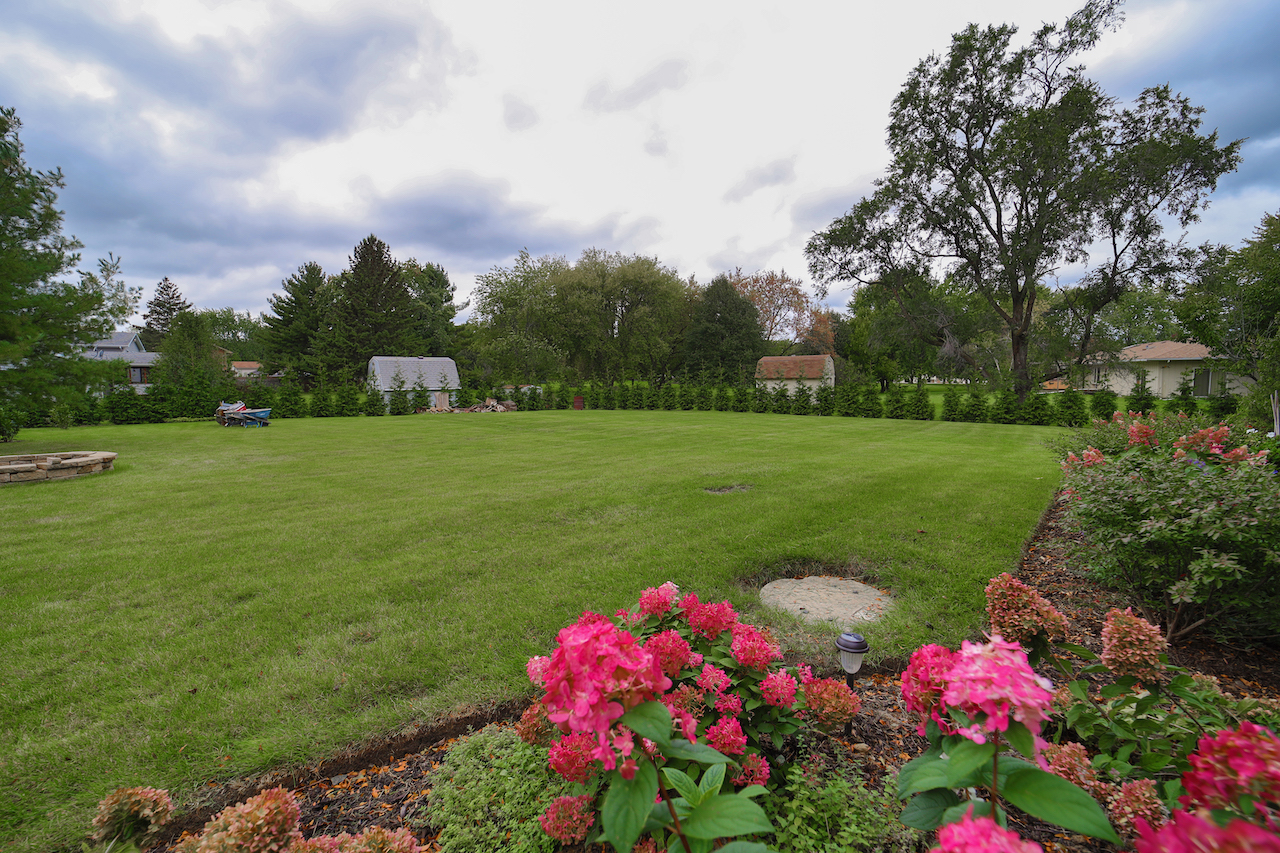 4818 5th Street Winthrop Harbor, IL 60096 - Photo 26 of 42 a yard with lots of flowers and trees