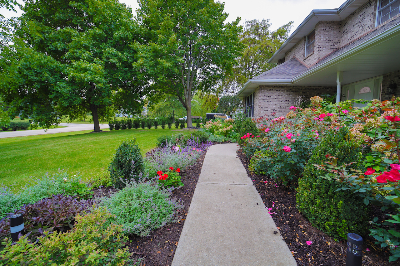 4818 5th Street Winthrop Harbor, IL 60096 - Photo 29 of 42 a view of a garden with flowers