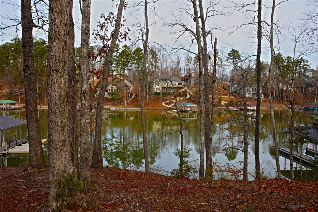 Lot 121 Harbor Point Seneca, SC 29672 - Photo 24 of 37 Gallery Image 24
