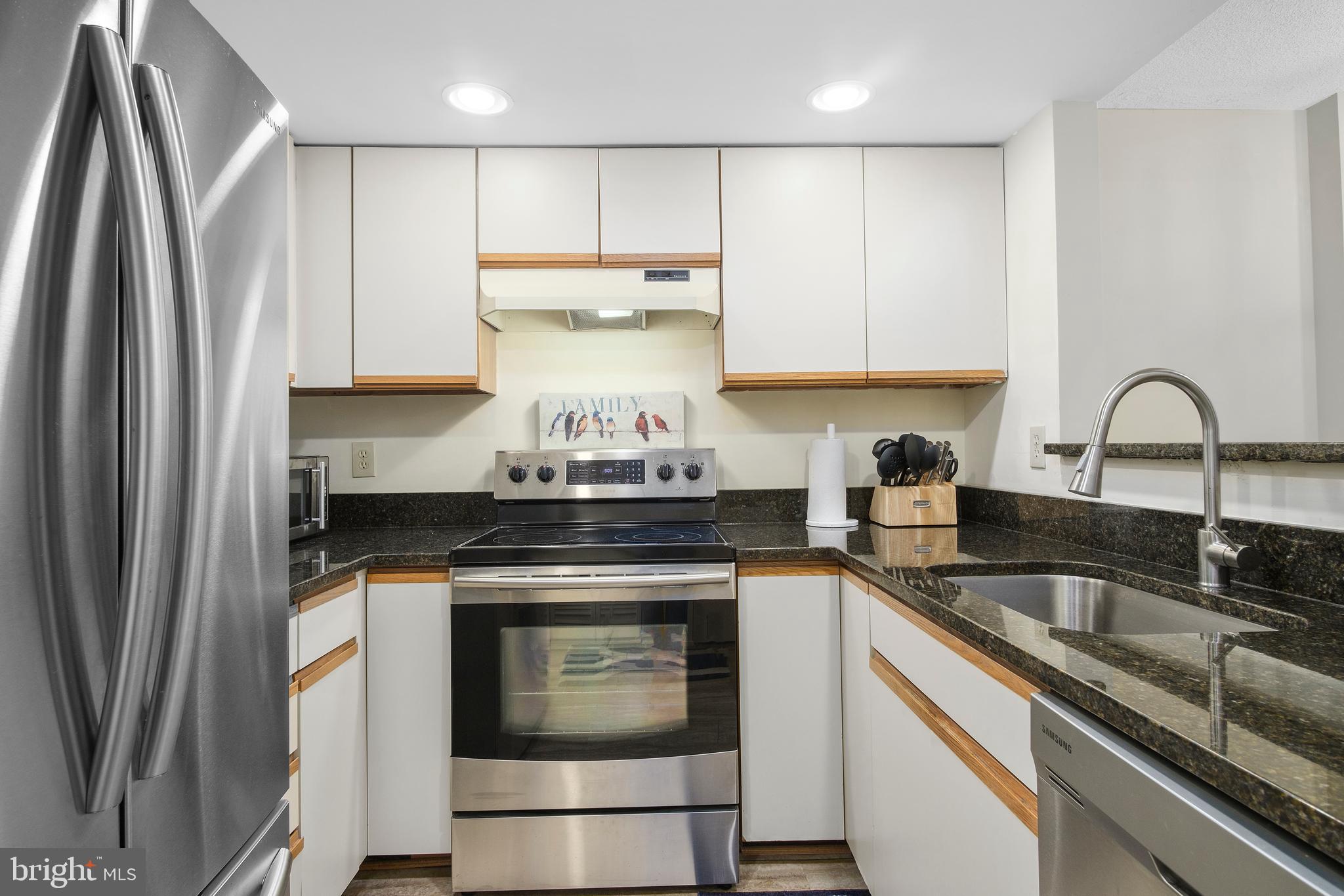 1951 Sagewood Lane, Unit 521 Reston, VA 20191 - Photo 8 of 28