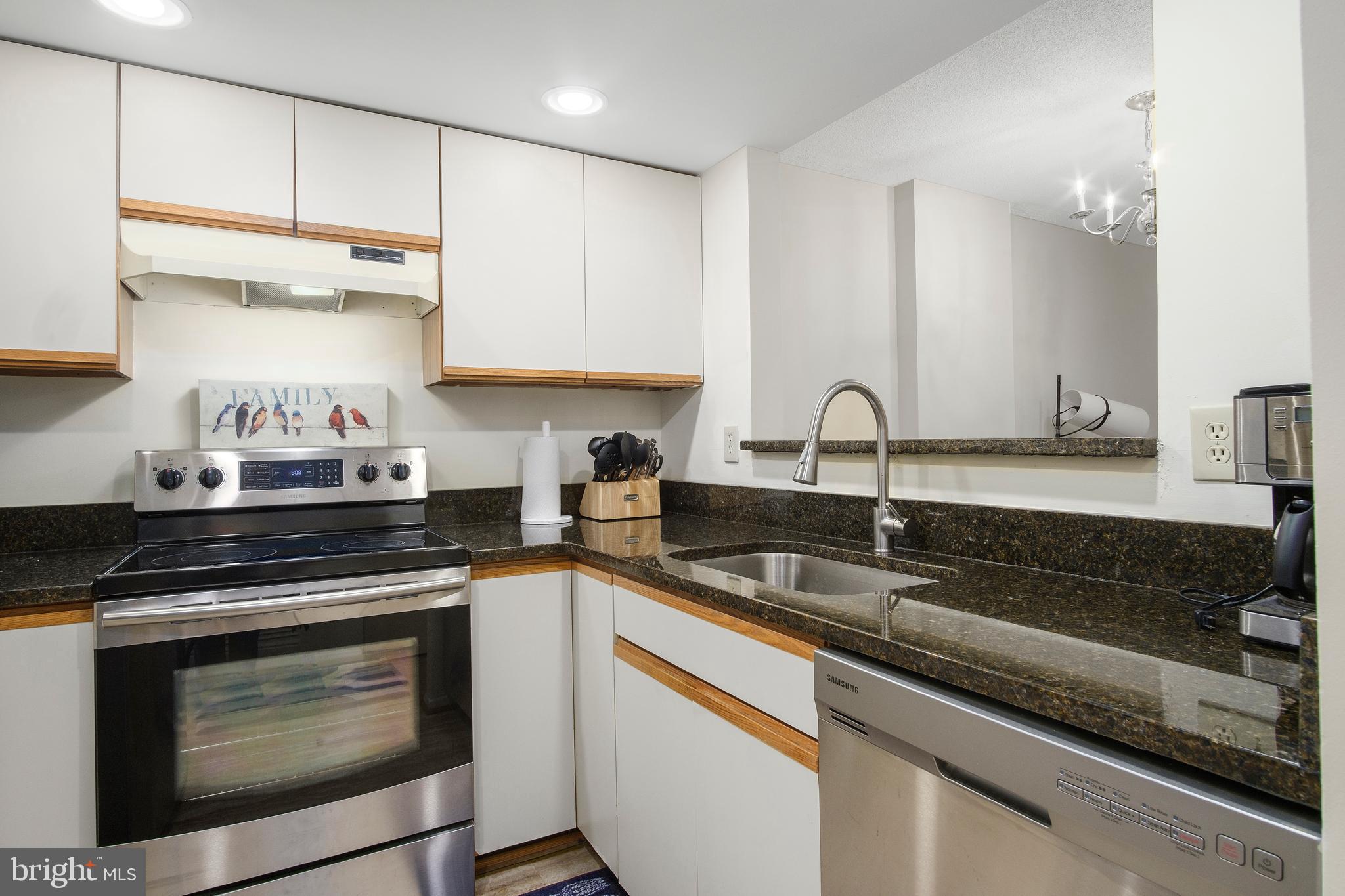1951 Sagewood Lane, Unit 521 Reston, VA 20191 - Photo 9 of 28