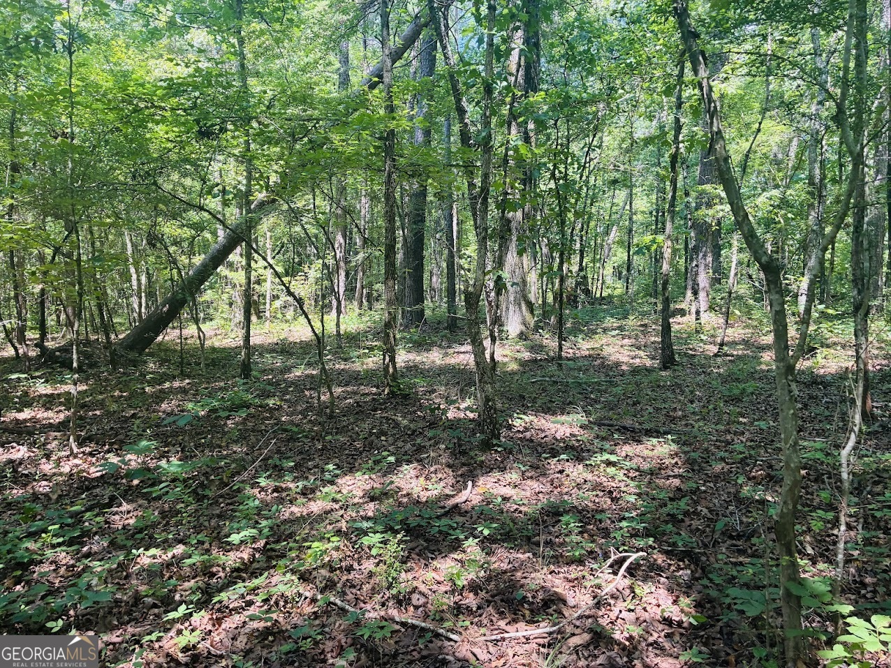 0 Forest Glen Road, Unit A Sylacauga, AL 35151 - Photo 20 of 34
