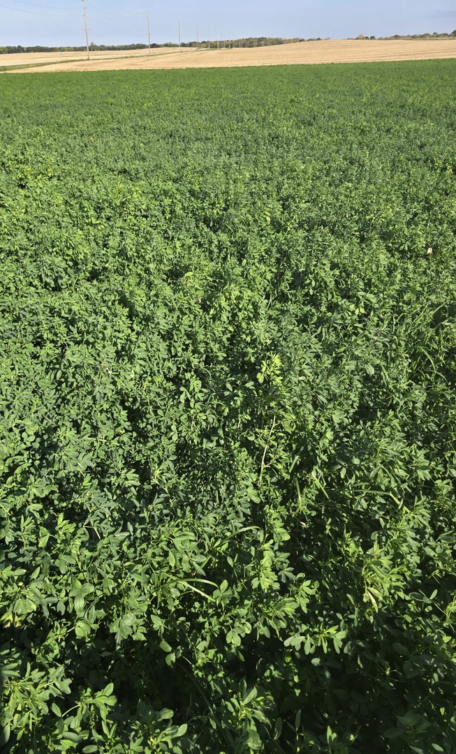 3292 East 24th Road Marseilles, IL 61341 - Photo 23 of 24