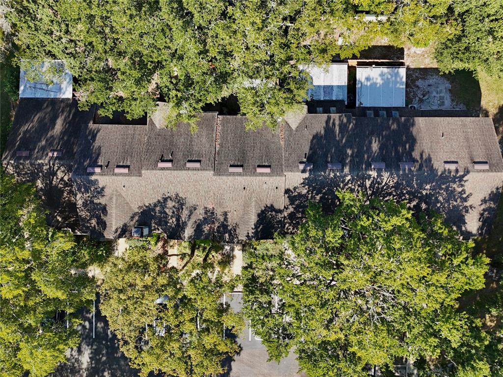 2924 Harbour Grace Court Apopka, FL 32703 - Photo 23 of 35