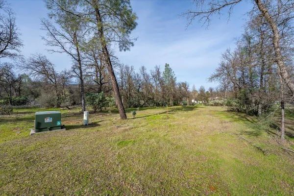 a view of a yard with a tree