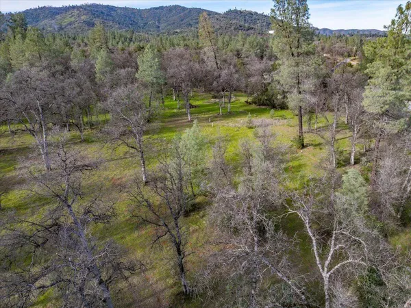 a view of a big yard with an trees