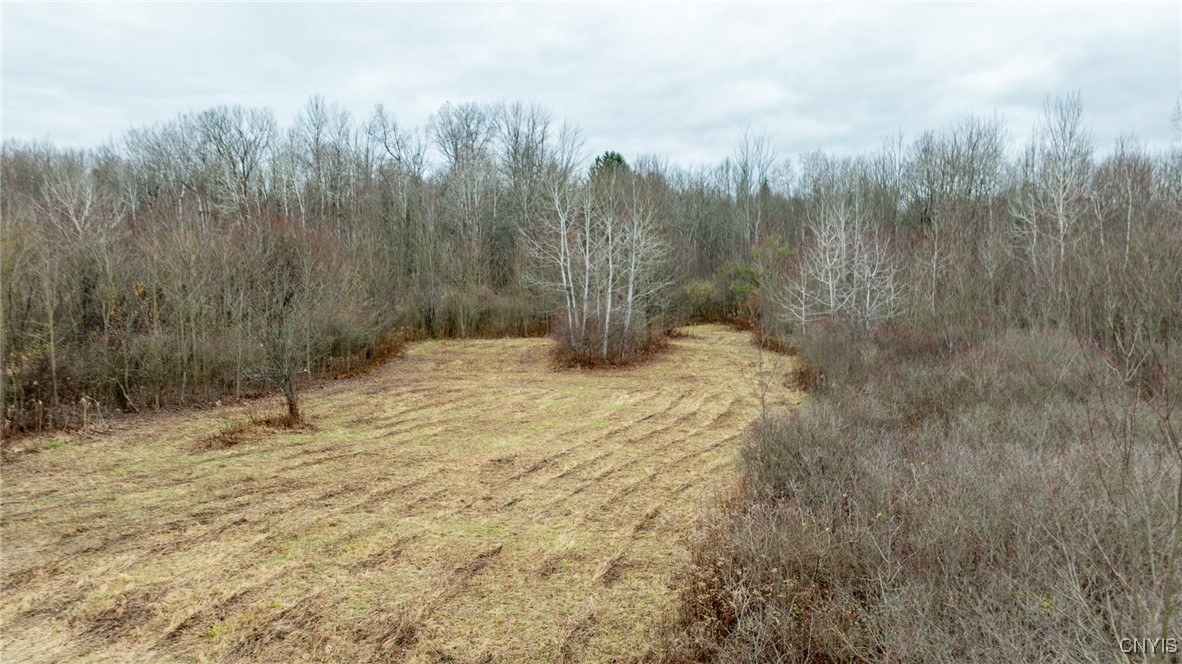 6709 East Taft Road Cicero, NY 13057 - Photo 8 of 13