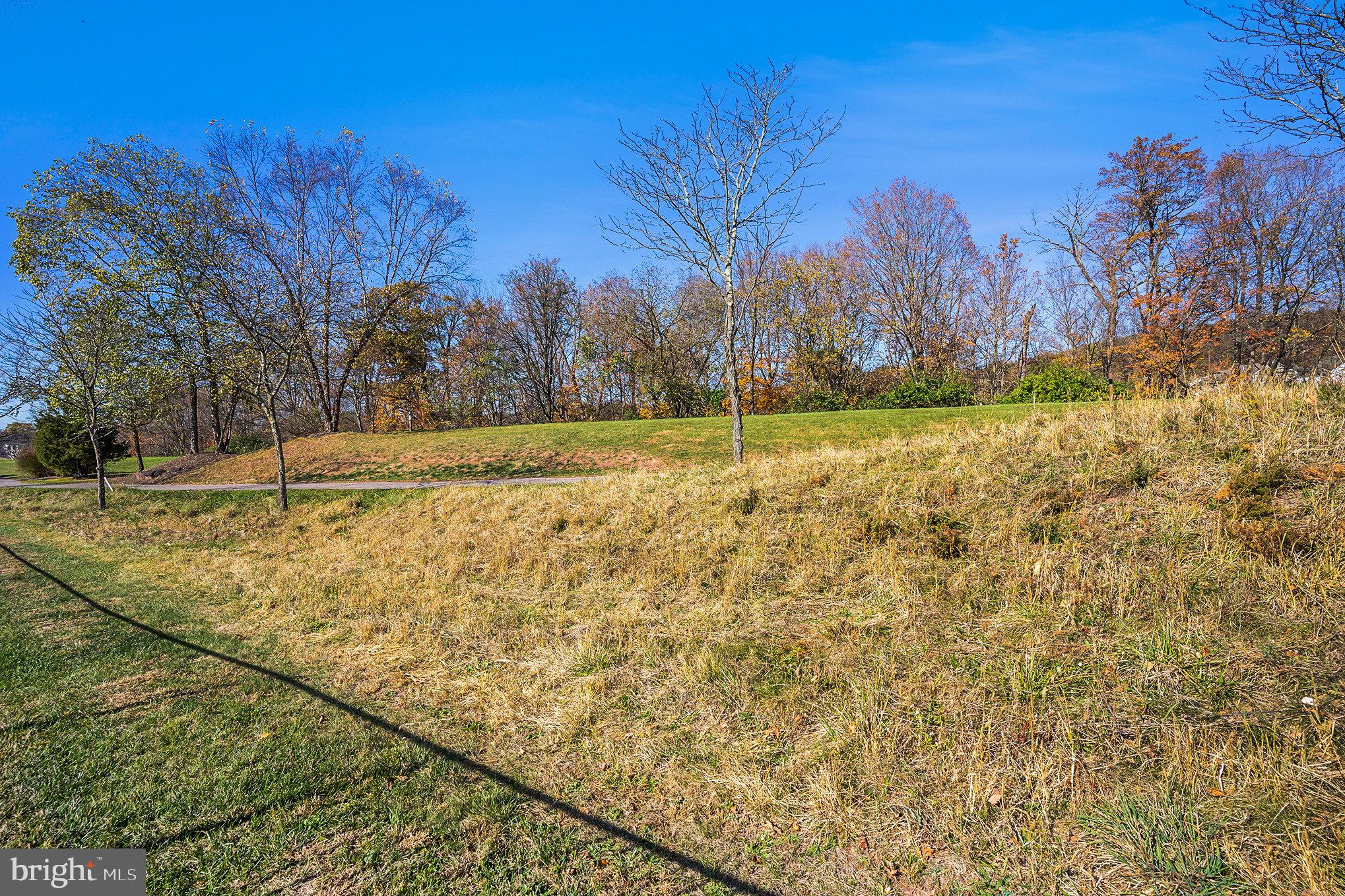 20 Bunker Way Pottstown, PA 19464 - Photo 42 of 45 a view of a yard with trees