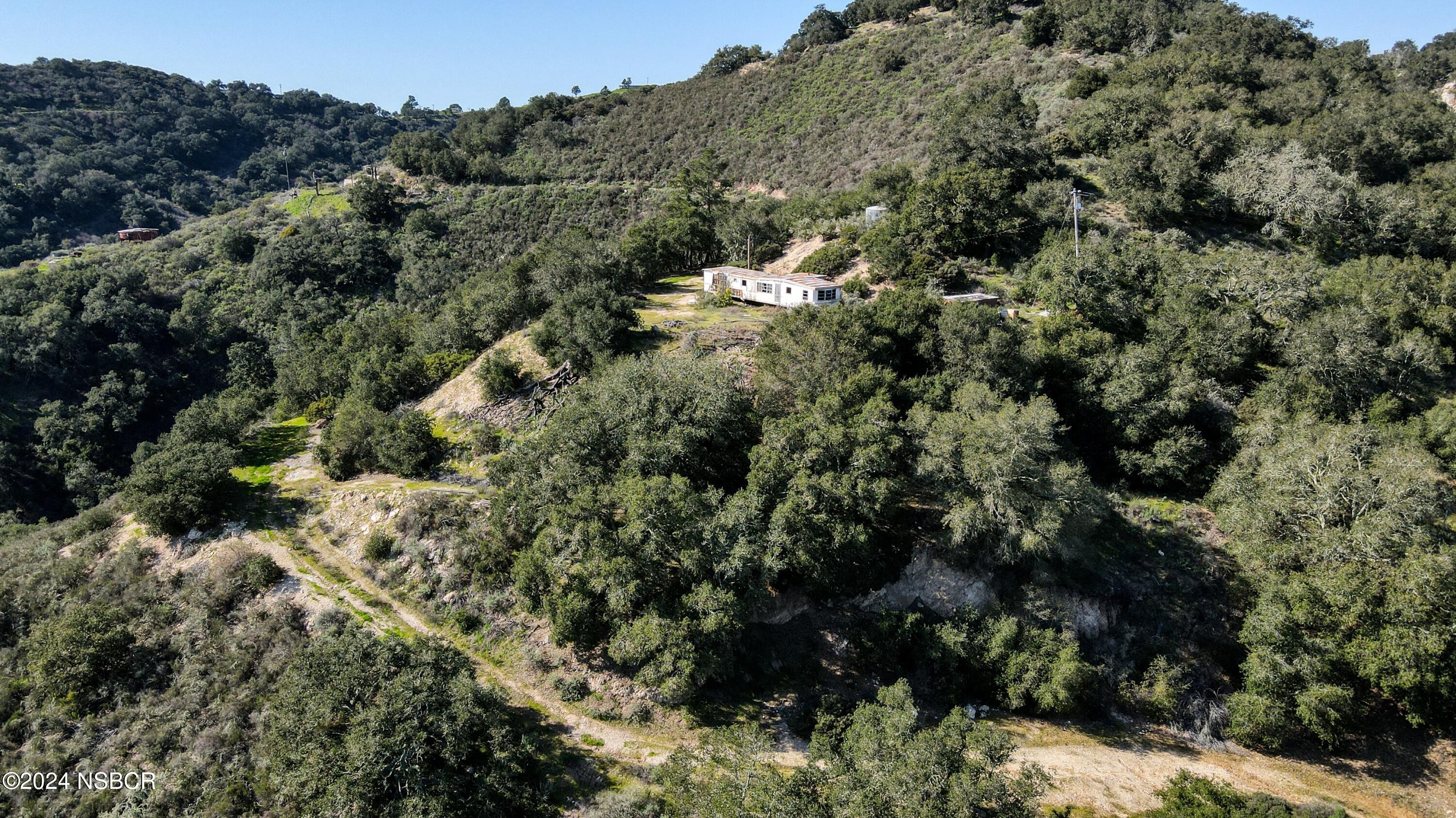 9339 Temettate Drive Santa Maria, CA 93454 - Photo 13 of 41 a view of a forest with a tree